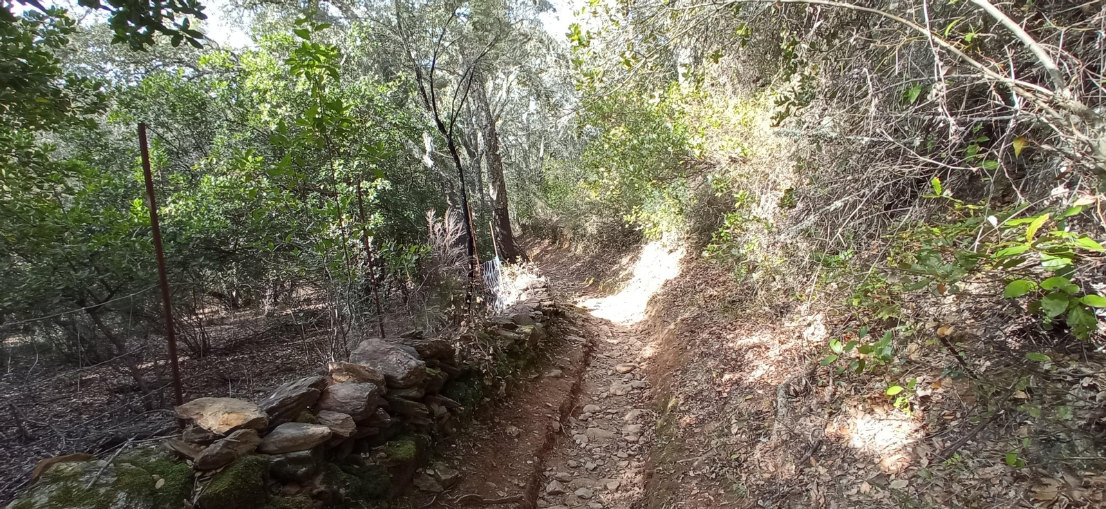 Las imágenes de la ruta de la Dehesa de Valdelama: De Los Marines a Fuenteheridos y vuelta