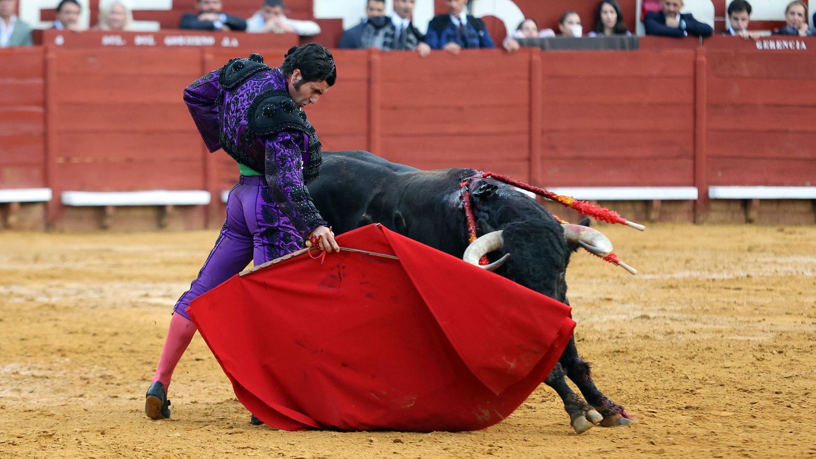Morante, con la mano derecha, ante el toro al que le cortó los máximos trofeos, cuarto de la suelta, el 23 de mayo en Jerez.