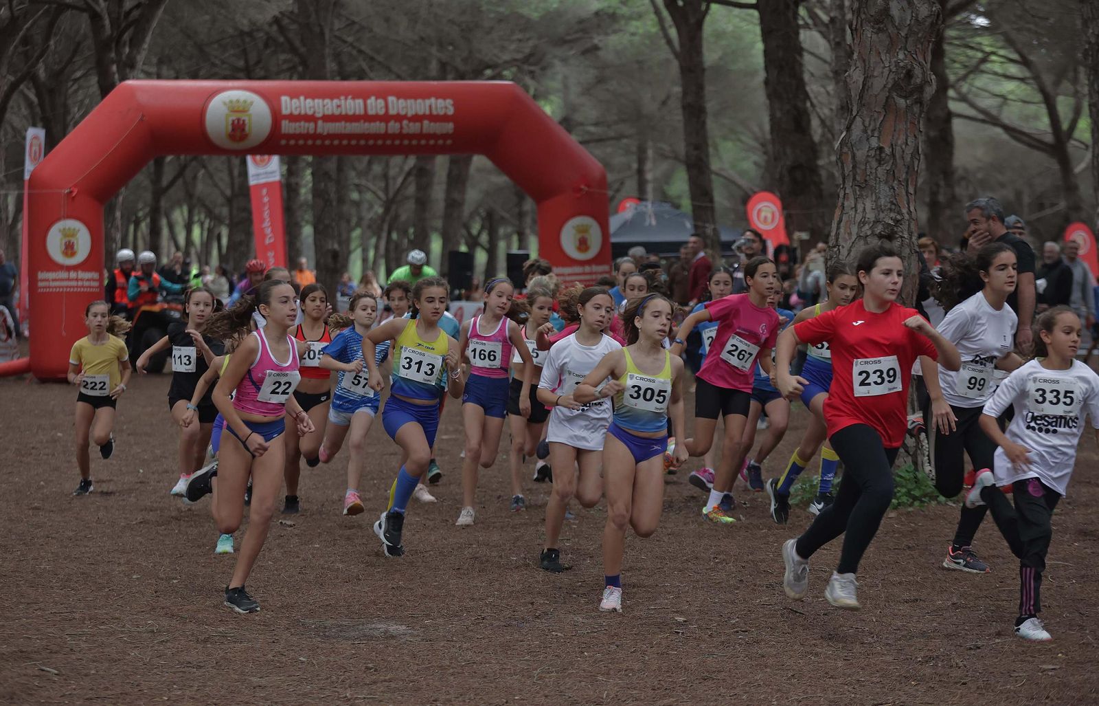 Búscate en el V Cross Pinar del Rey en San Roque