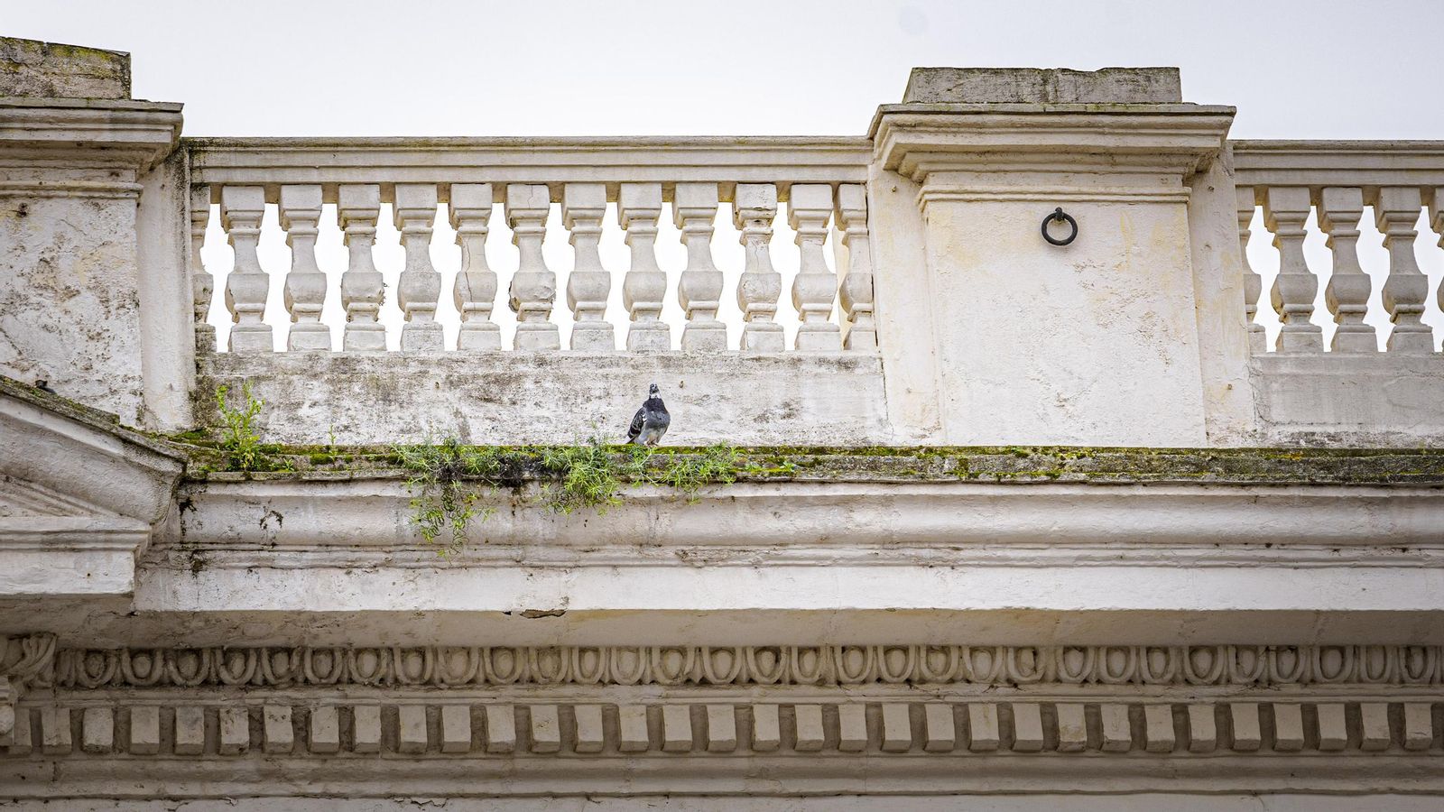 El mal estado del edificio del Ayuntamiento de Cádiz