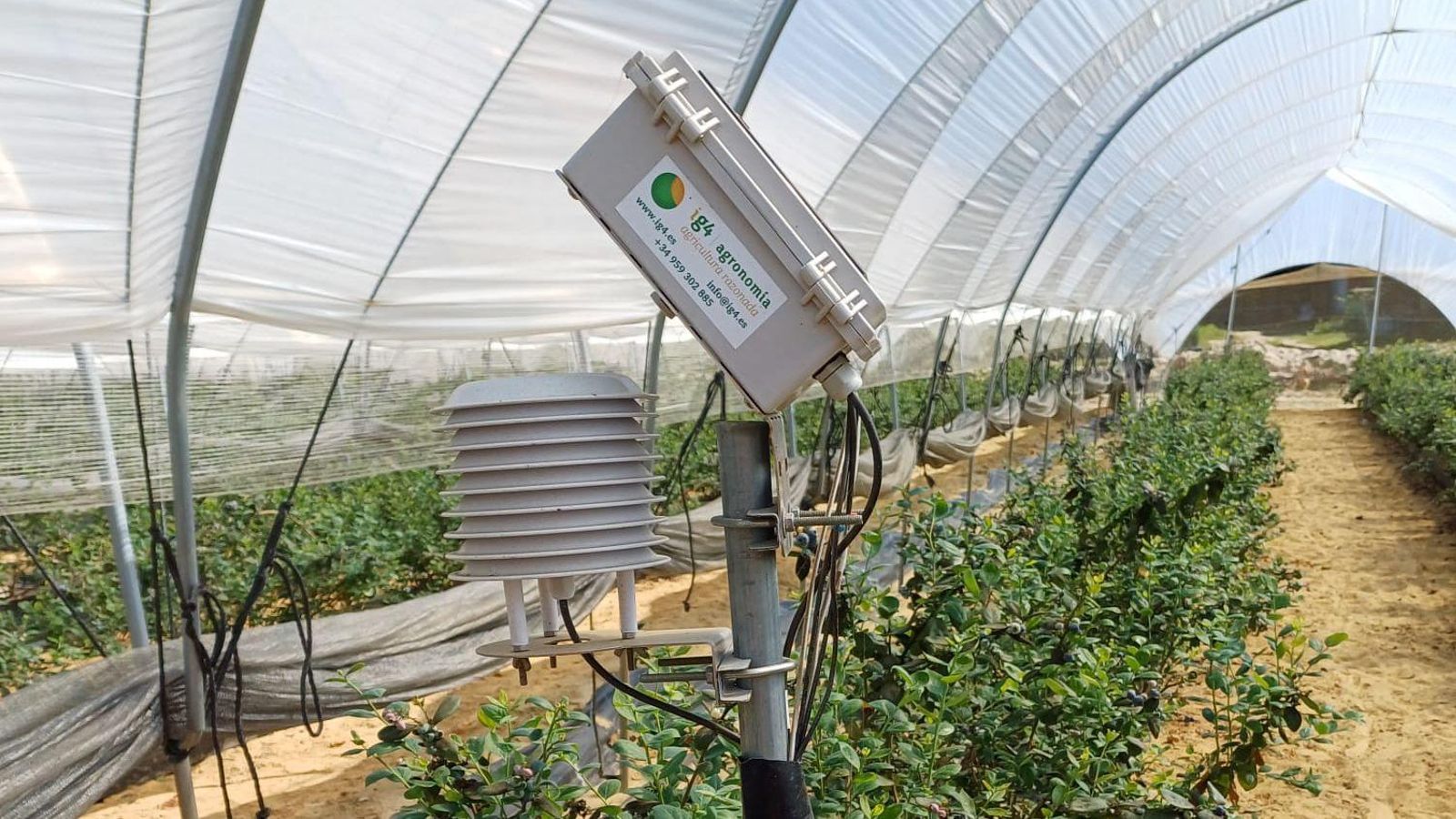 Plataforma tecnológica de última generación, potente, fácil e intuitiva y que se encuentra en constante evolución