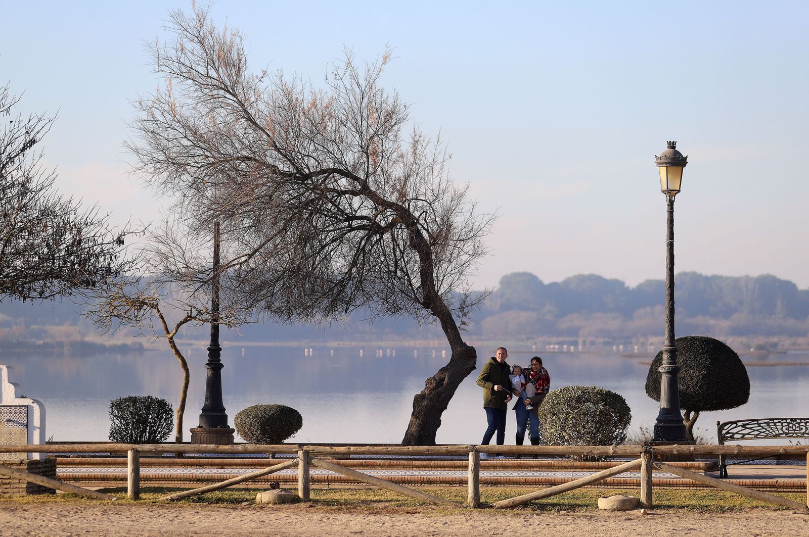 Imágenes de la celebración de la Candelaria en El Rocío