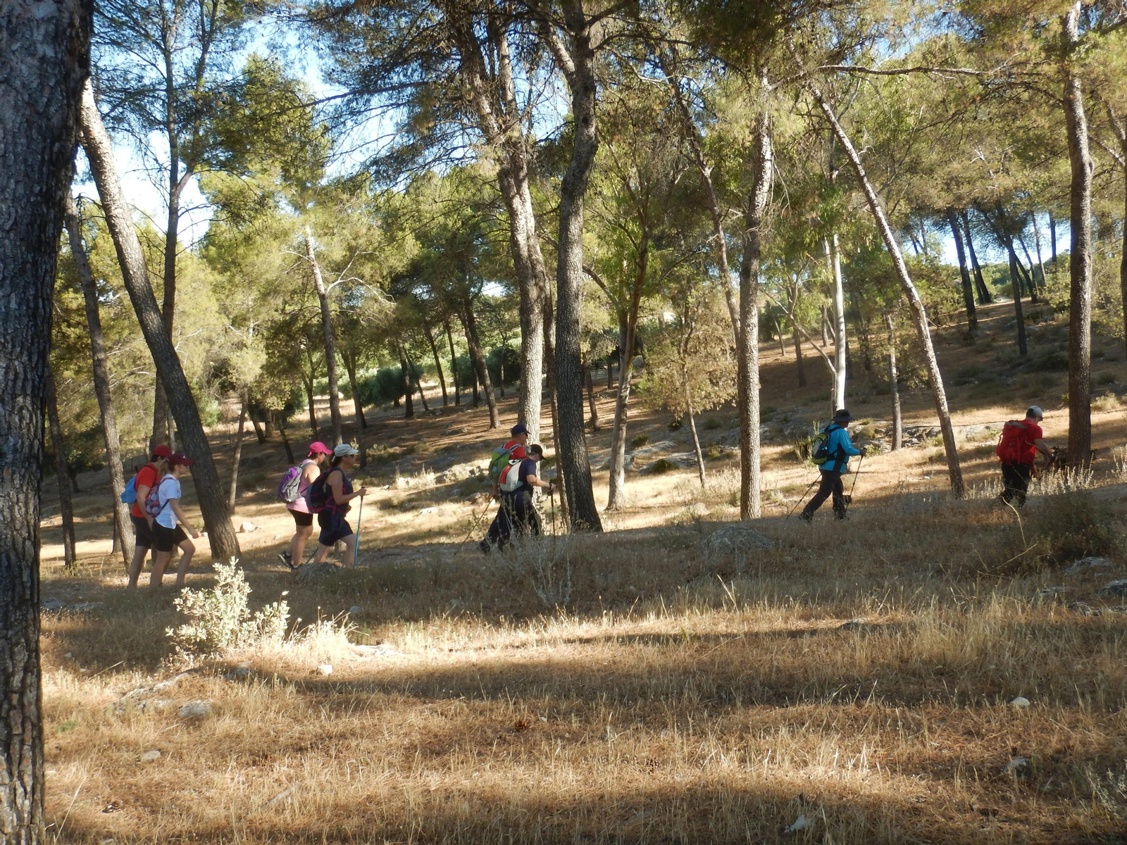 Participantes del Programa de Senderismo de la provincia en ruta.