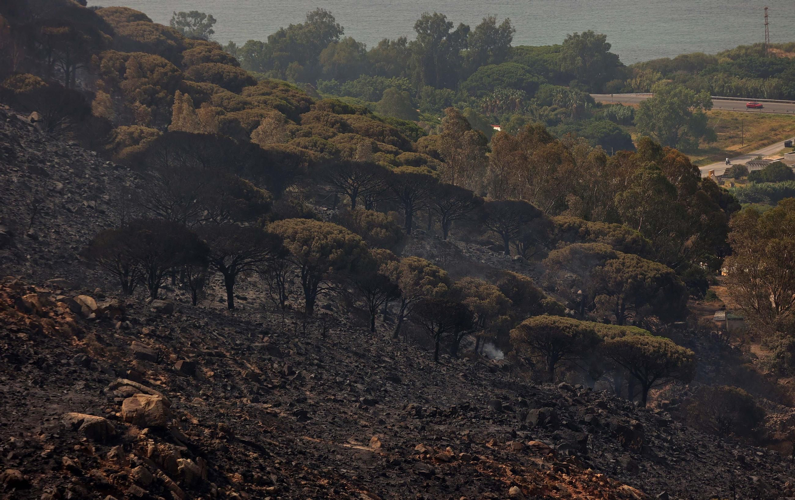 Fotos de los efectos del incendio en el monte de La Peña en Tarifa