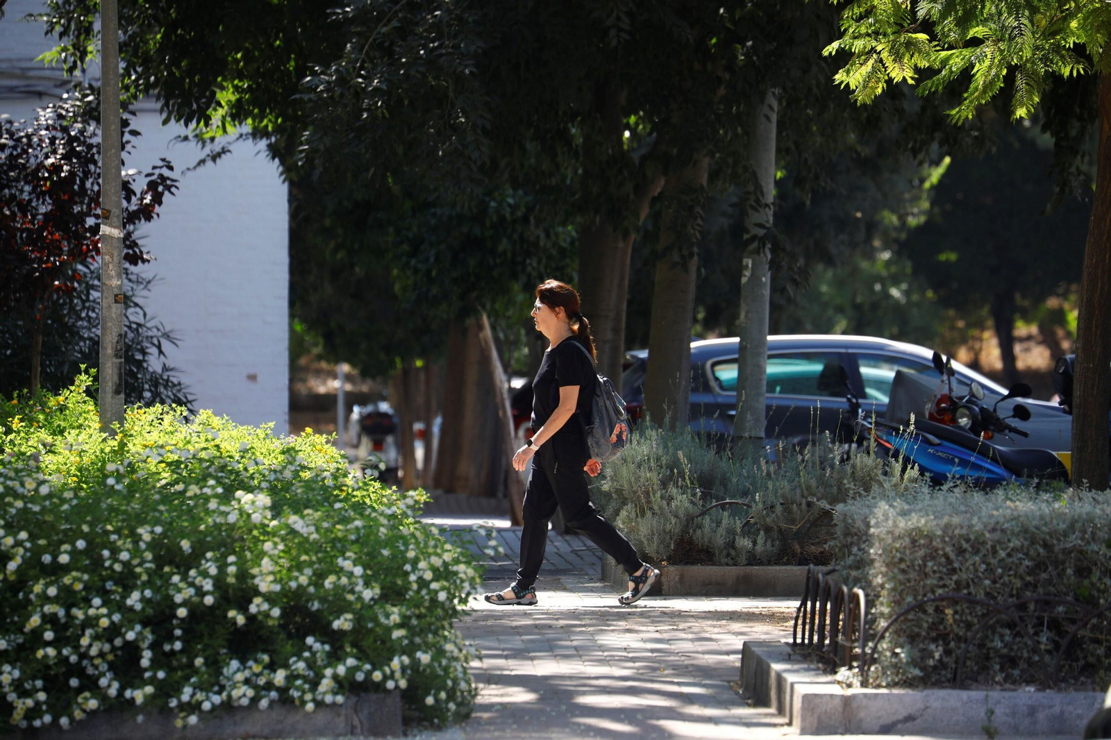 Un domingo de agosto en el barrio cordobés de Santuario, en imágenes