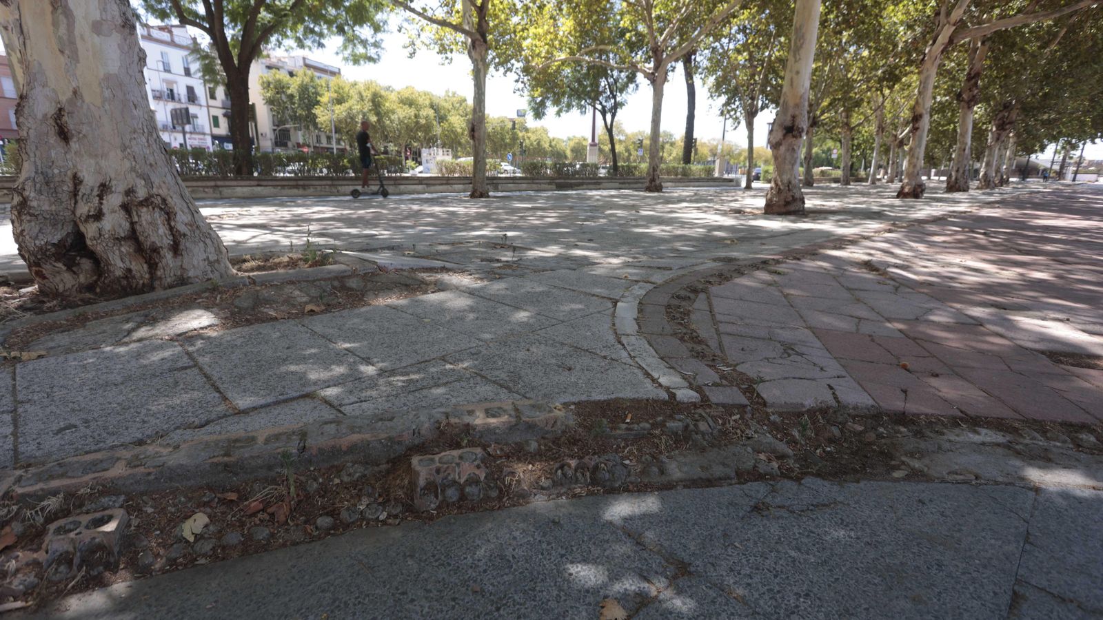 Estado irregular del pavimento en el paseo Torneo.