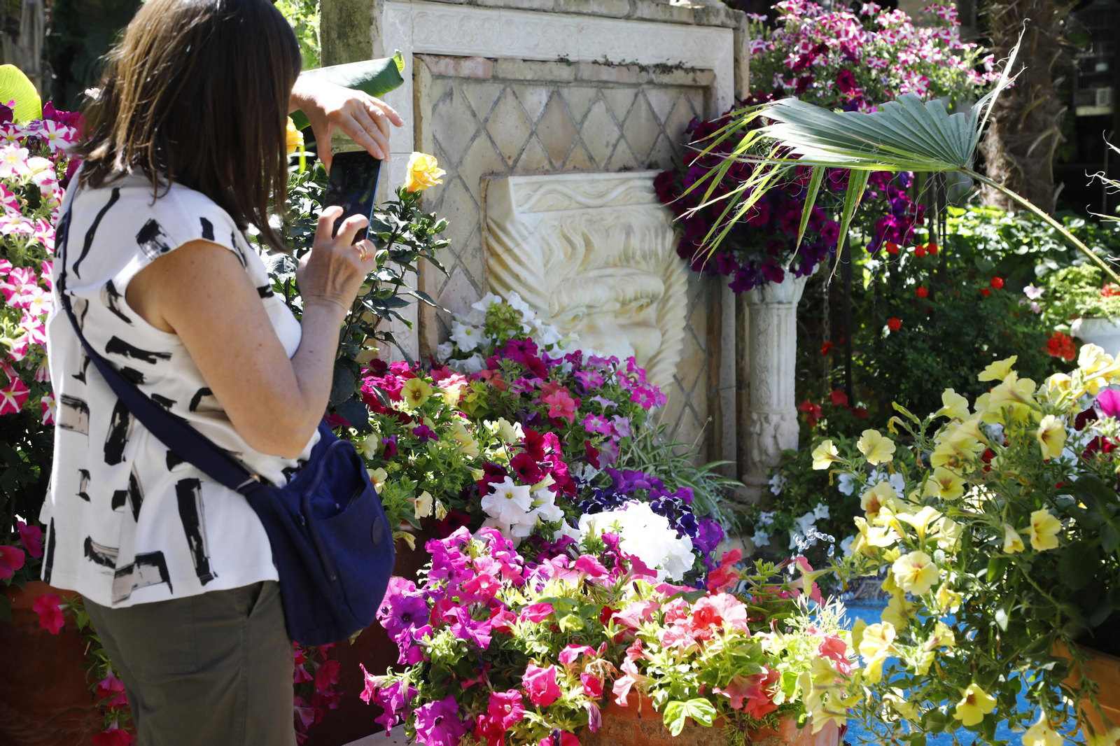 Los Patios de Córdoba se preparan para el fin de semana, en imágenes