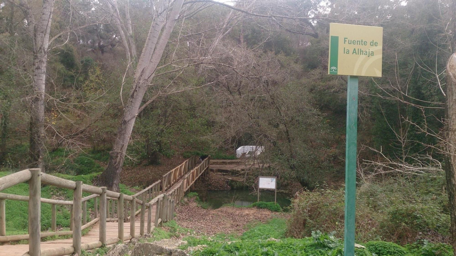 La fuente de La Alhaja, en el Pinar del Rey.