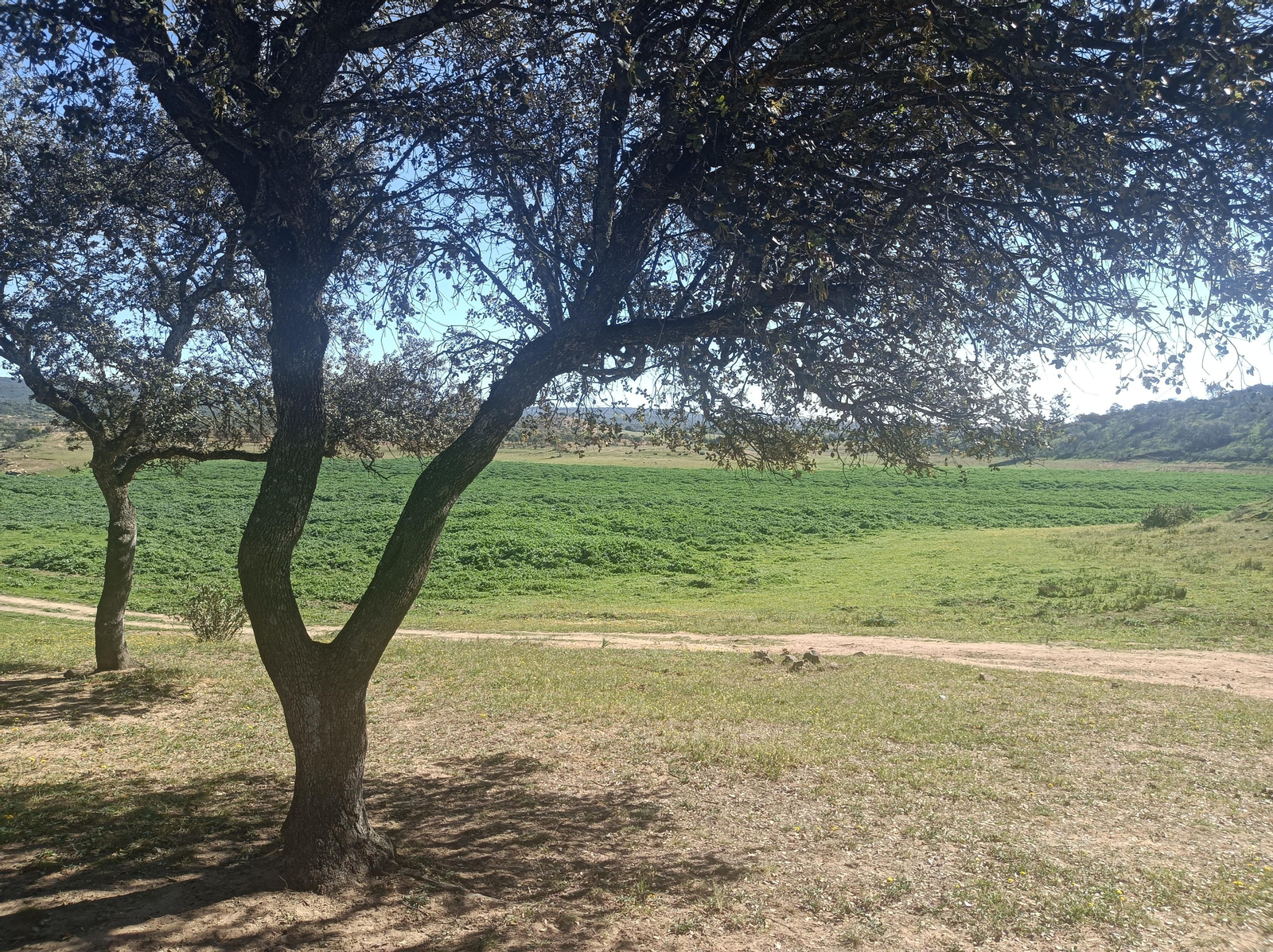 Llegada a Los Lagos del Serrano.
