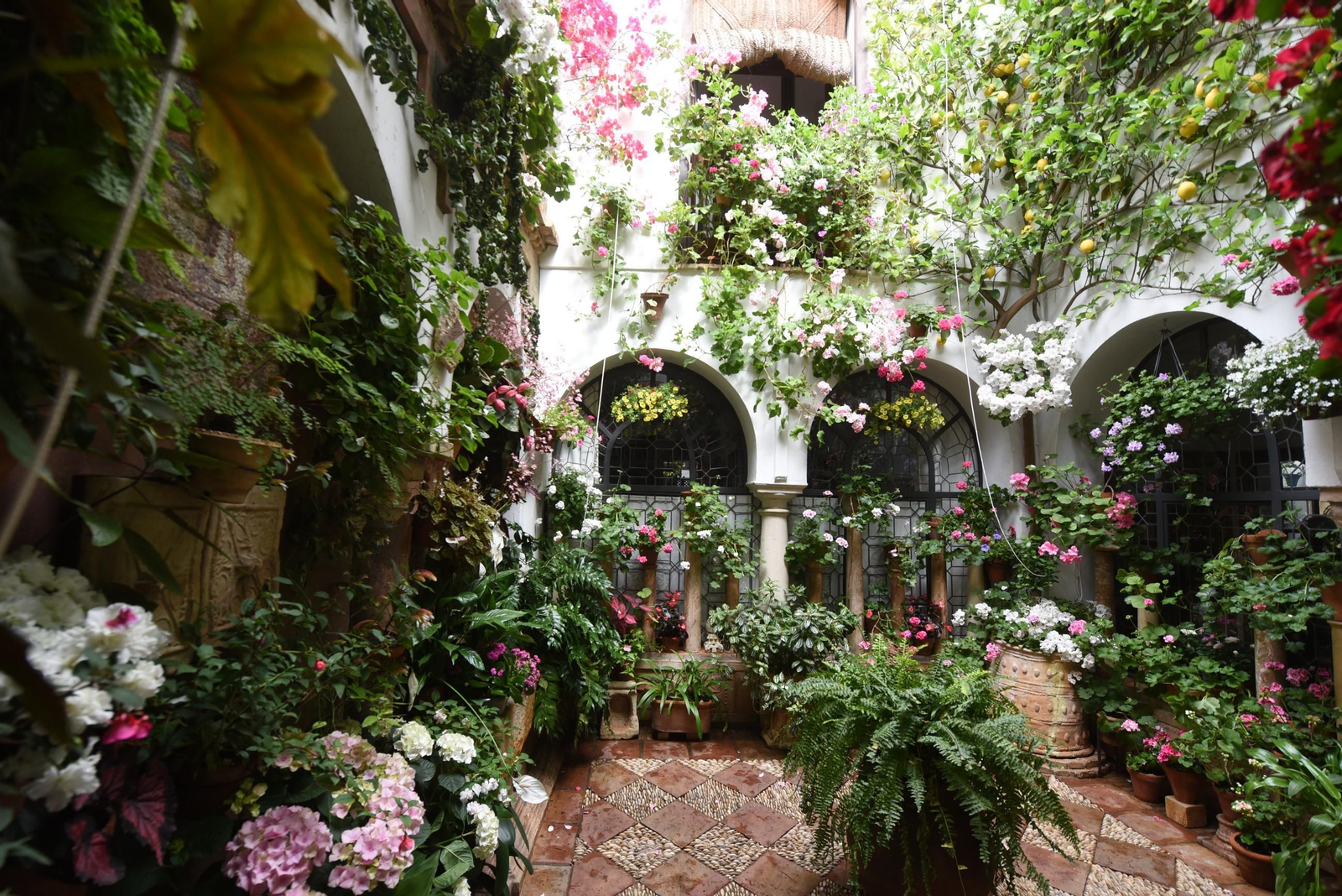 Los Patios de Córdoba de la Ruta del Alcázar Viejo, en imágenes