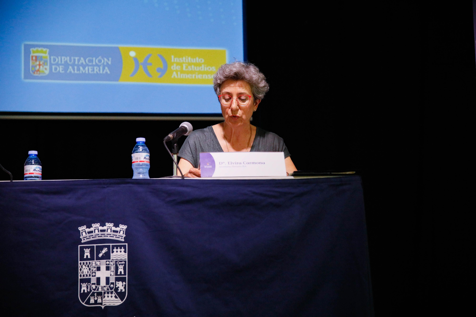 Imágenes de la entrega de los Escudos de Oro del IEA y la celebración de su Plenario