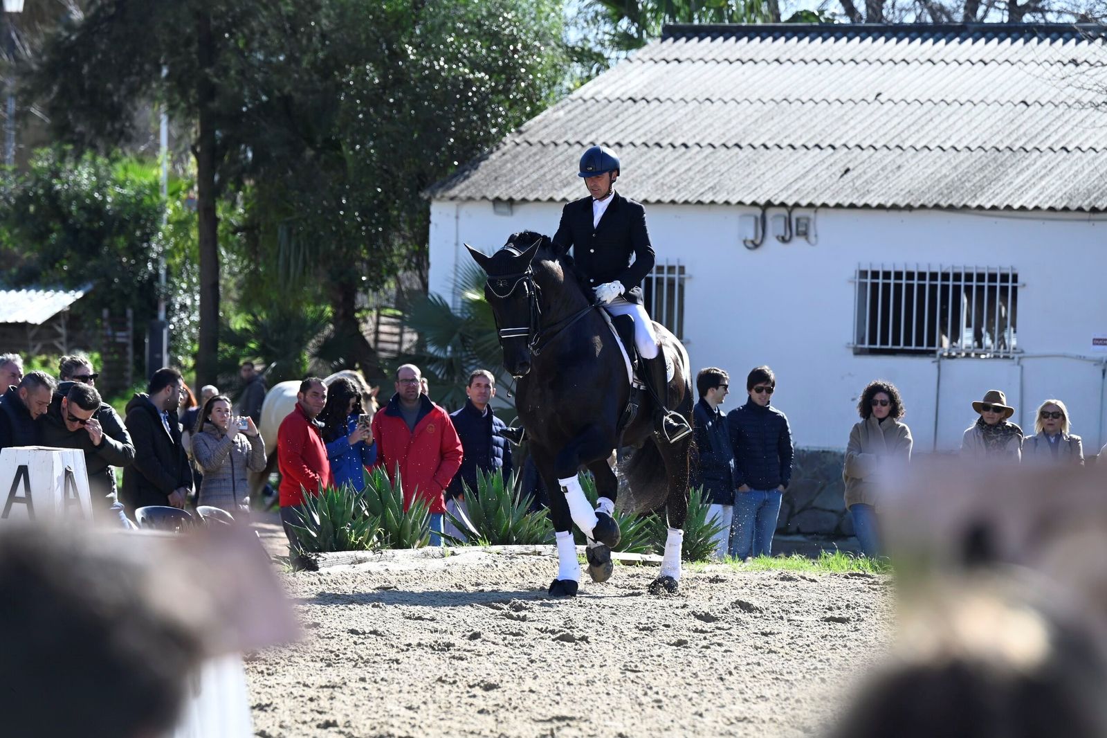 La Presentación de Sementales PRE 2026 en Córdoba, en imágenes