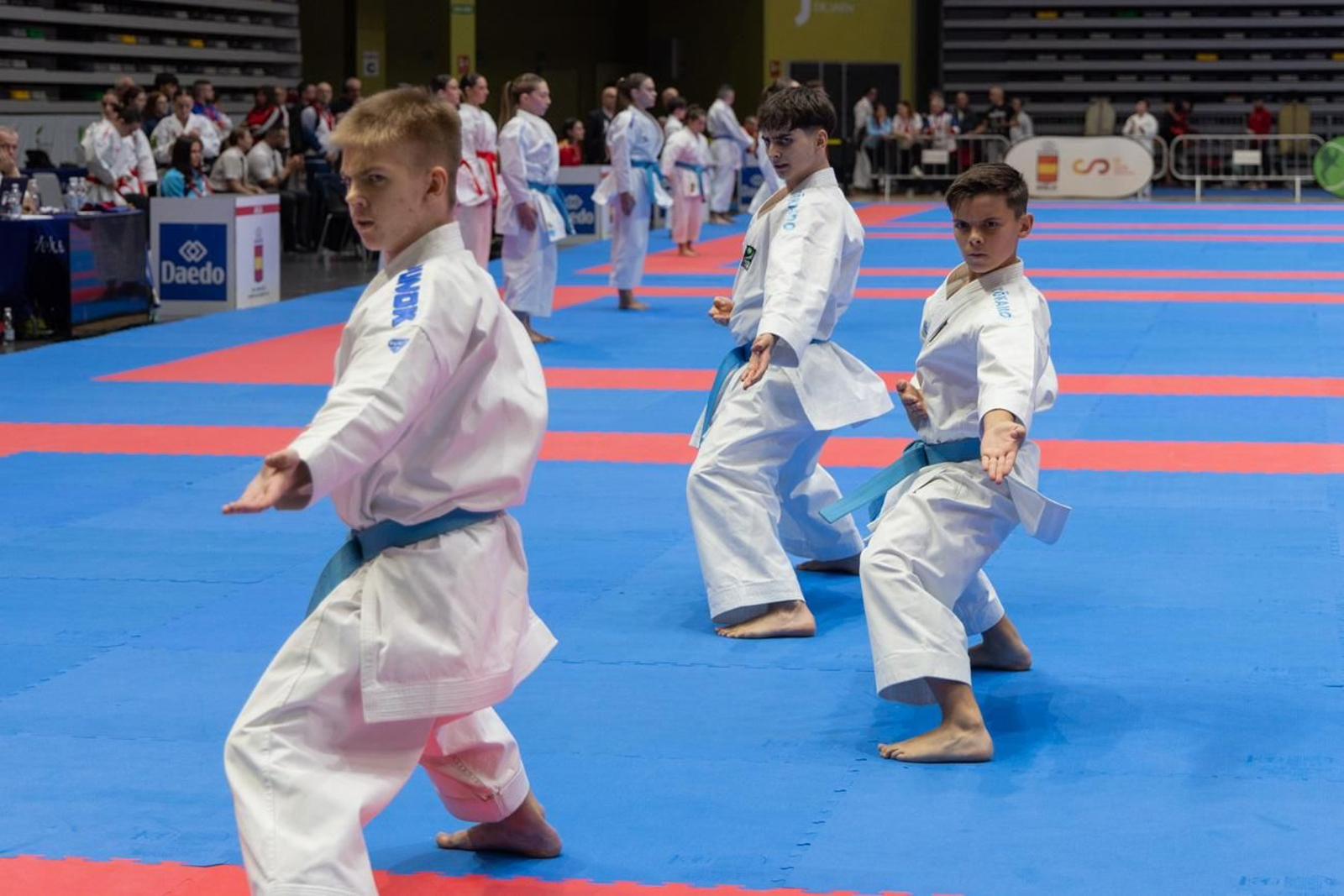 Campeonato de España de Kárate cadete, júnior y sub 21 brilla en Jaén