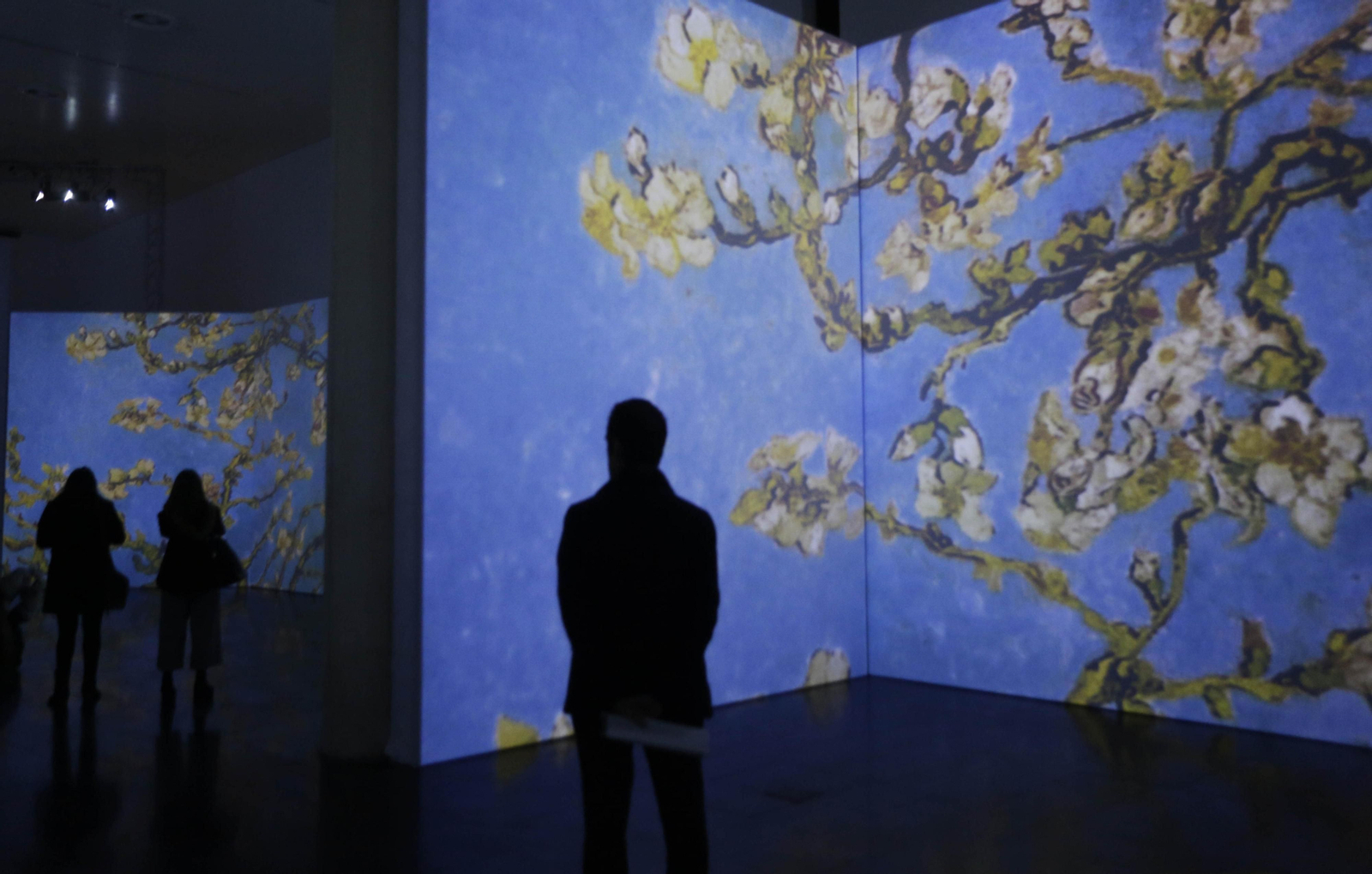 La exposición ' Van Gogh Alive'