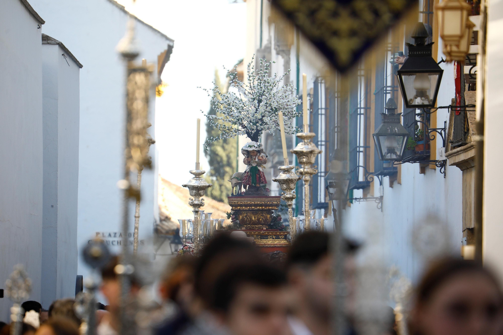 La procesión del Divino Pastorcillo en Córdoba, en imágenes