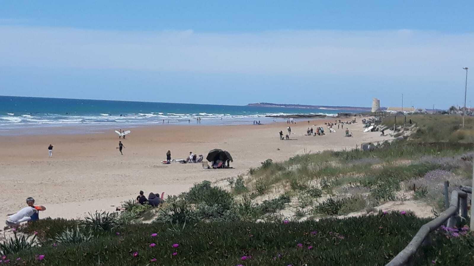 La playa vejeriega del Palmar presentaba cierto ambiente en la mañana de ayer.