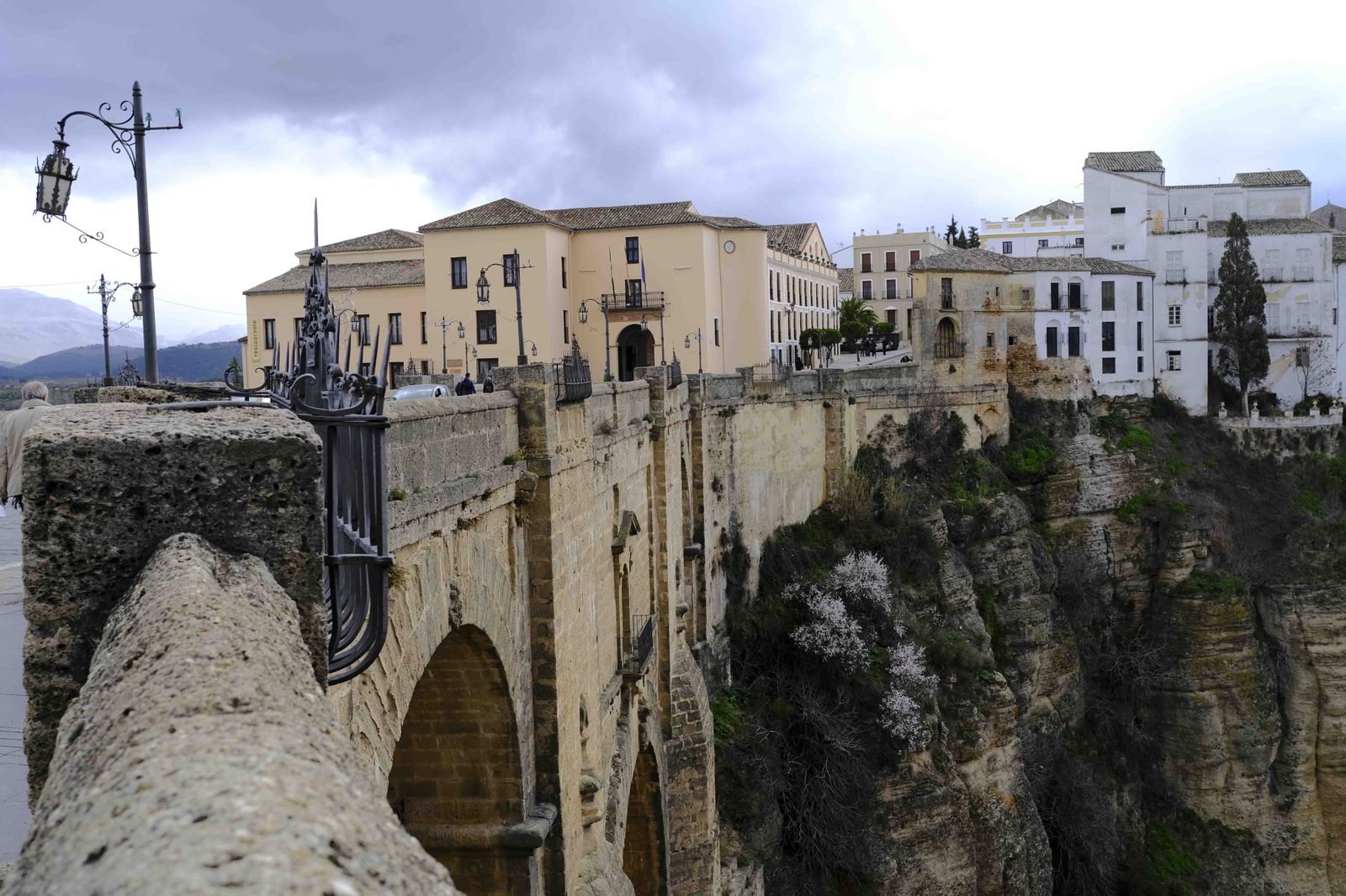 Así lucen los almendros del interior de Málaga en plena floración