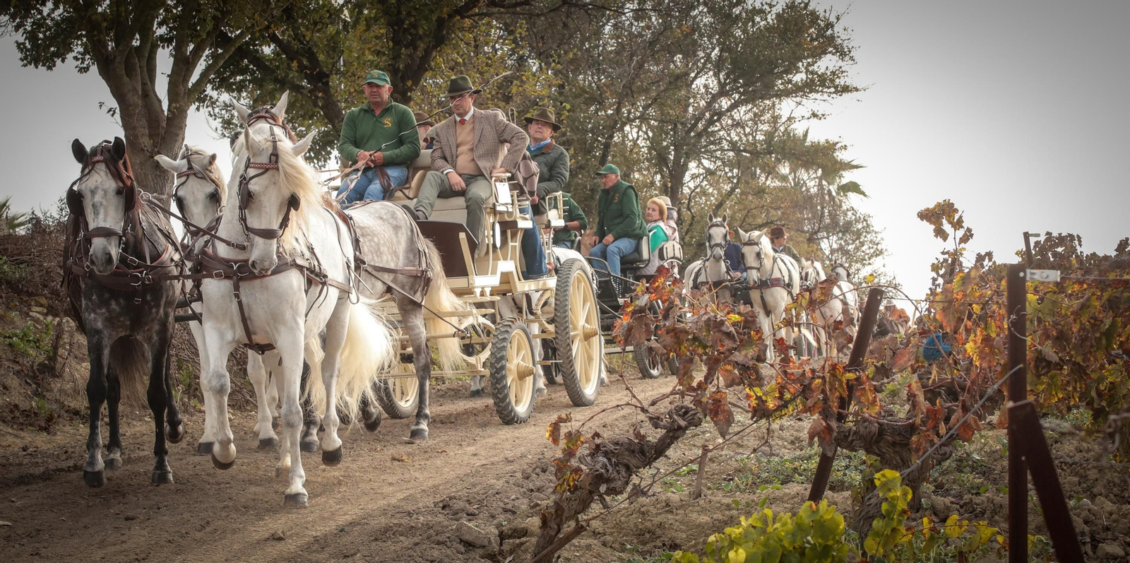 Búscate en la III Ruta Viñas de Jerez de Enganches