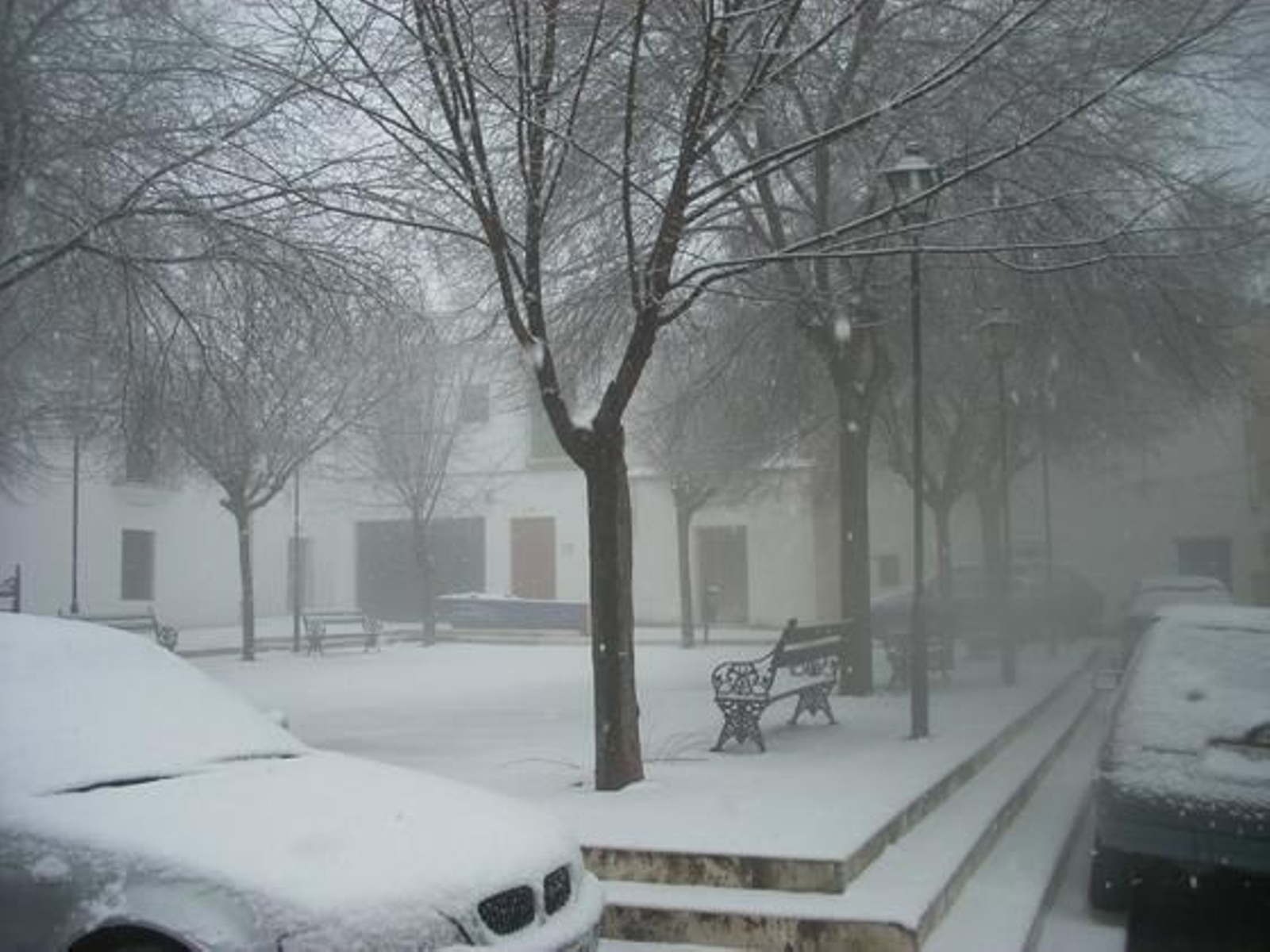 Nevada en Carmona./ Reyes Garrido