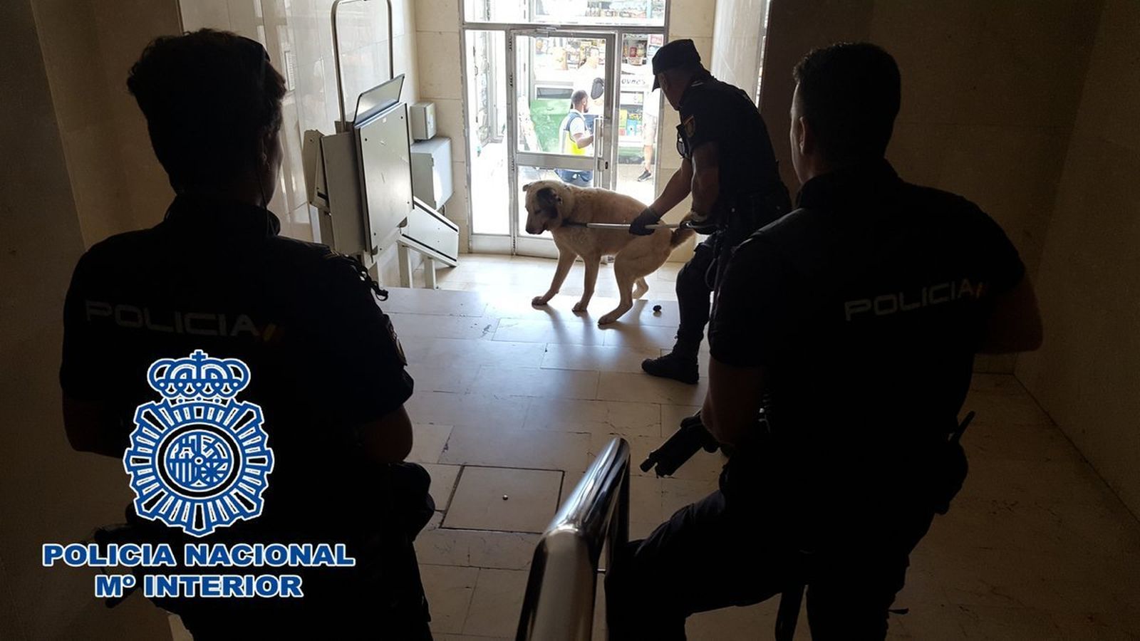 Un agente de la Policía Nacional controla al perro.