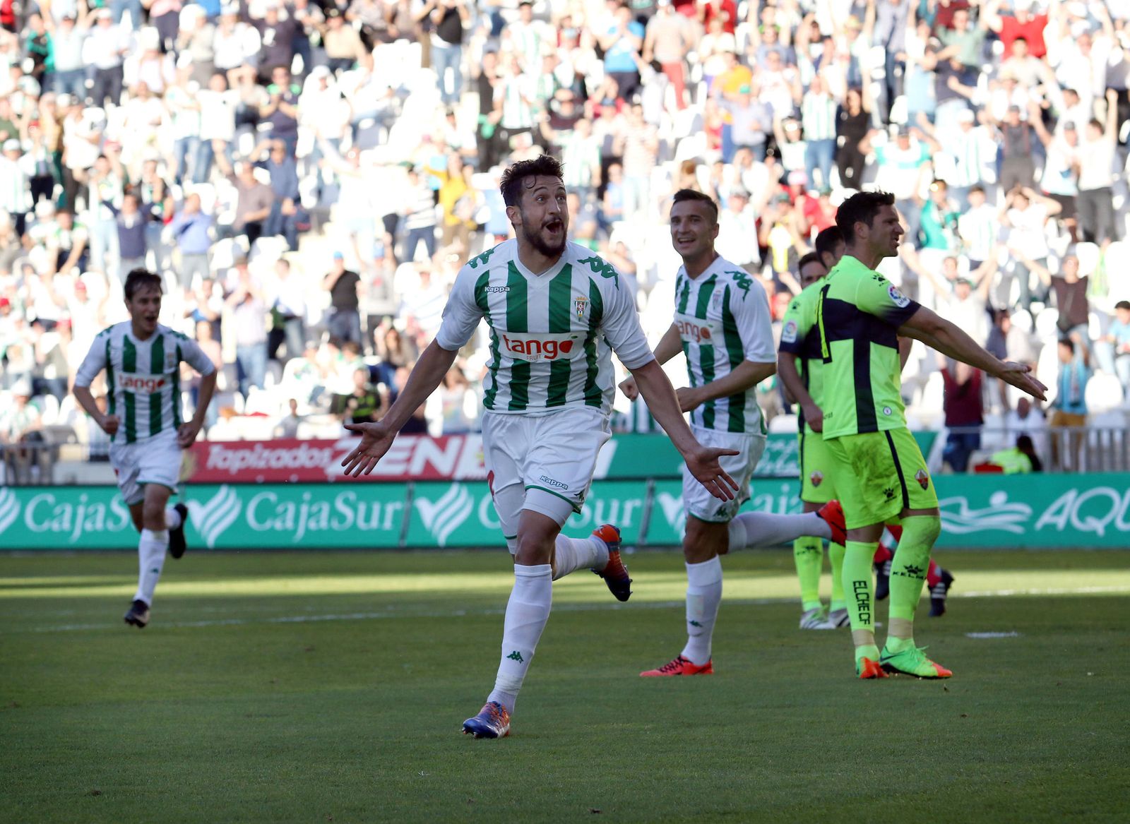 Las imágenes del Córdoba-Elche