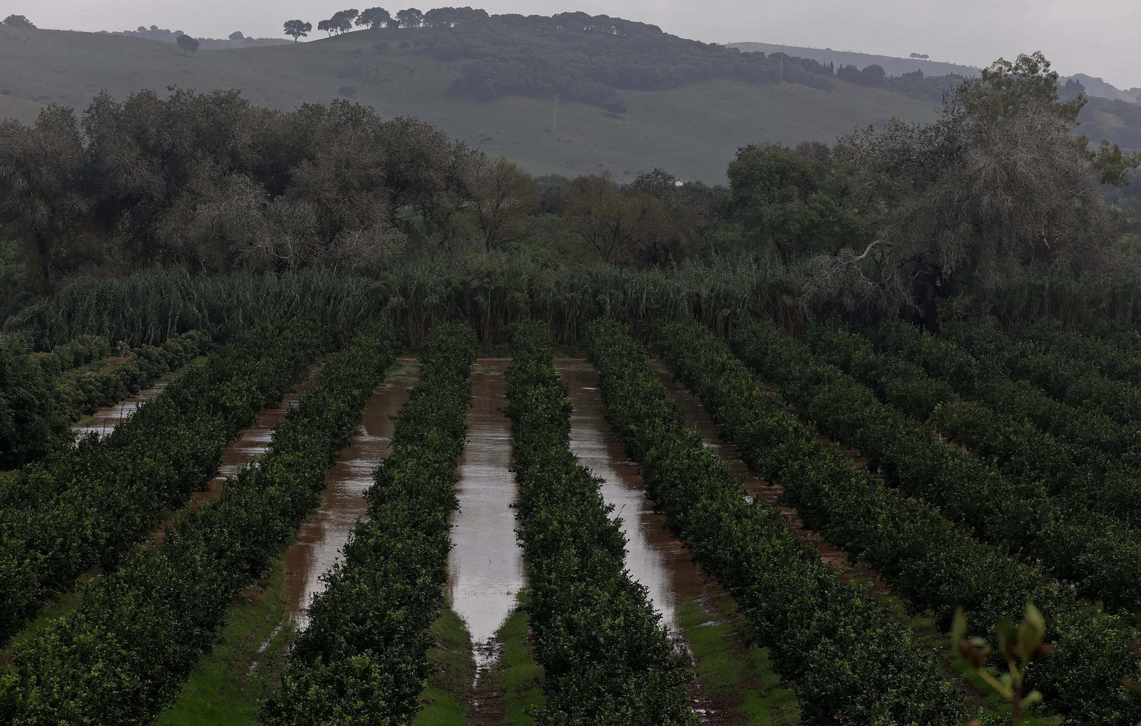 Fotos de la inundaciones en San Pablo de Buceite por la DANA