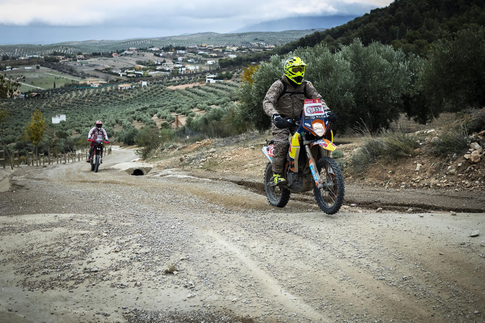 ¿Estuviste en la tercera edición de la ruta Olivobook? Búscate