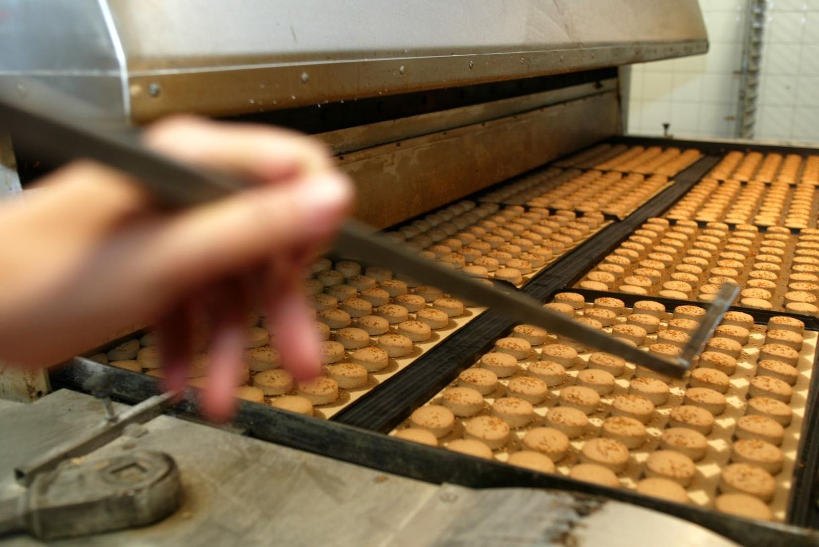 En Estepa contará con un nuevo ciclo de FP Dual en colaboración con la industria del mantecado.