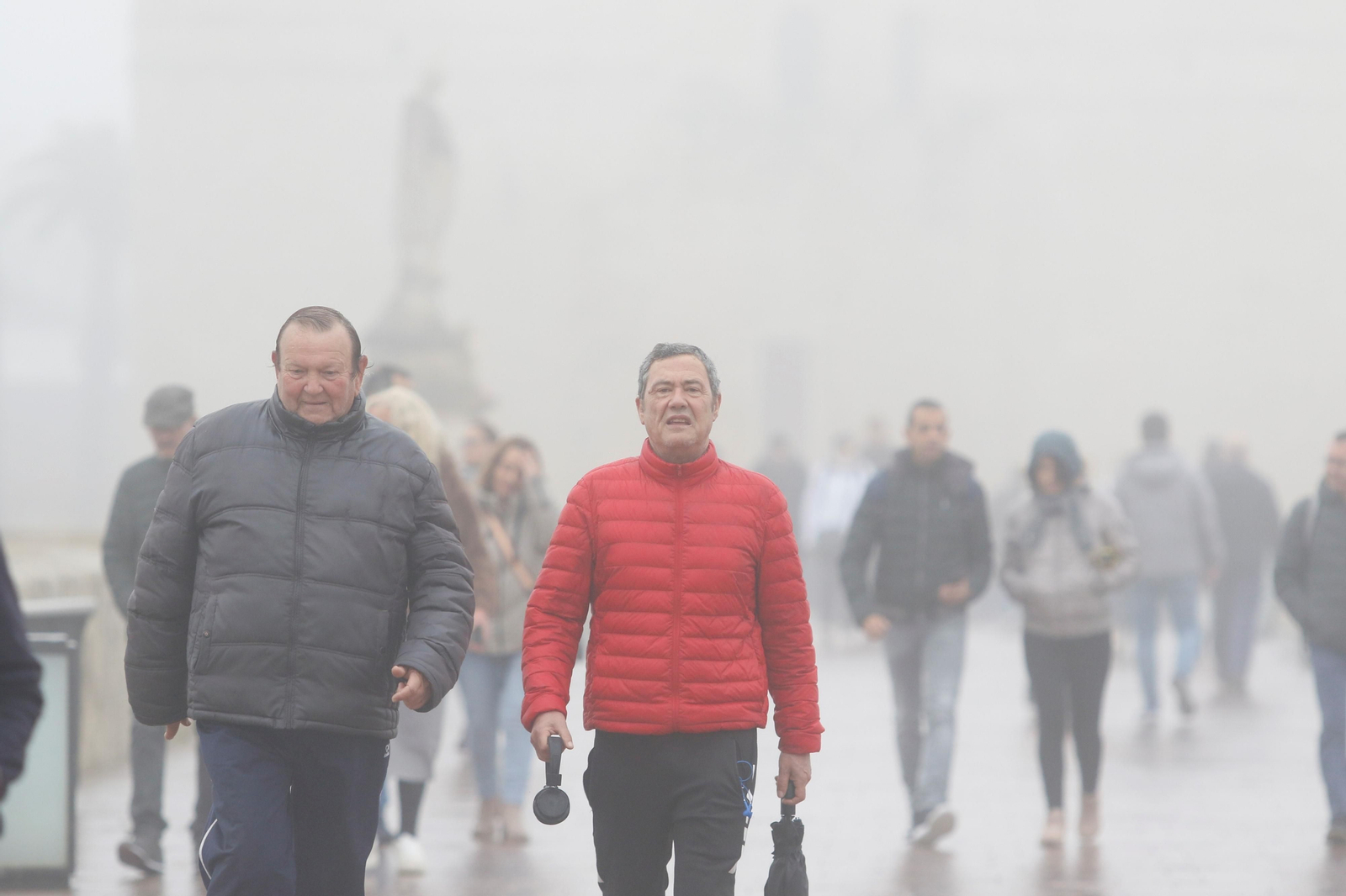 La niebla llega a Córdoba, en imágenes