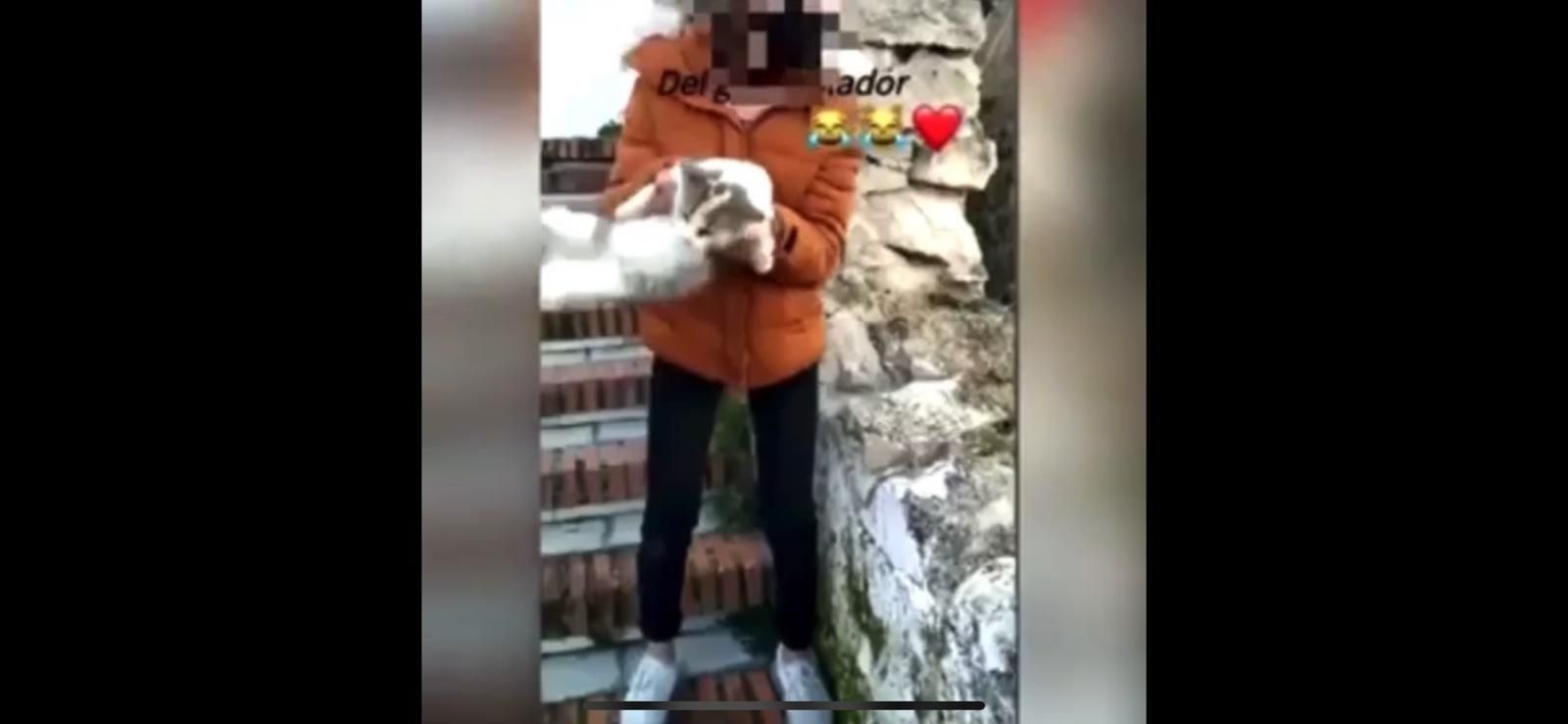 Un momento del vídeo en el que la joven tira a un gato por un barranco.