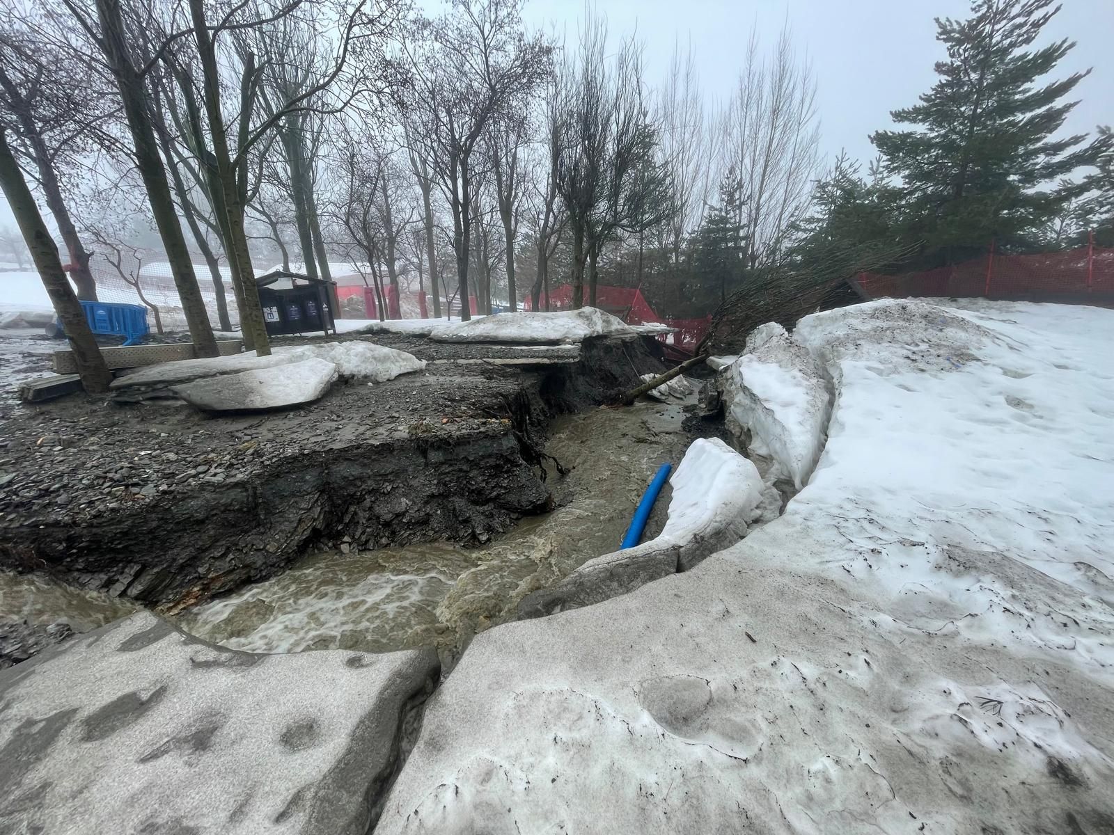 Parte de la zona afectada en el área de El Mirlo Blanco.