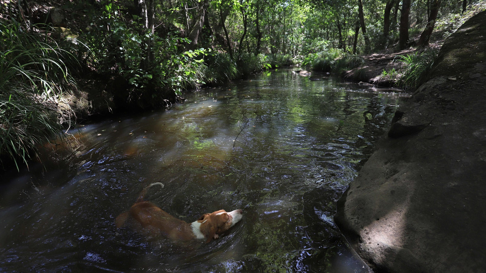 Las mejores fotos de la Montera del Torero y Valdeinfierno