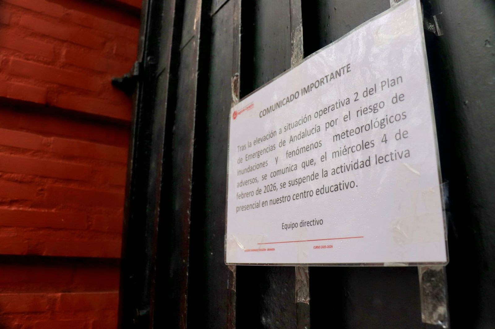 WhatsApp Image 2026-02-04 at 09.59.32