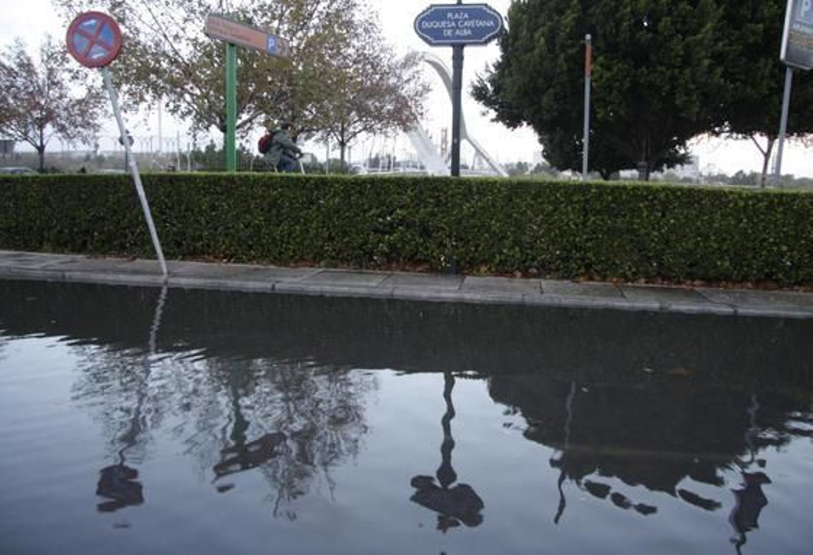 Los fuertes vientos doblaron incluso las señales de tráfico.

Foto: Victoria Hidalgo/Jaime Martínez