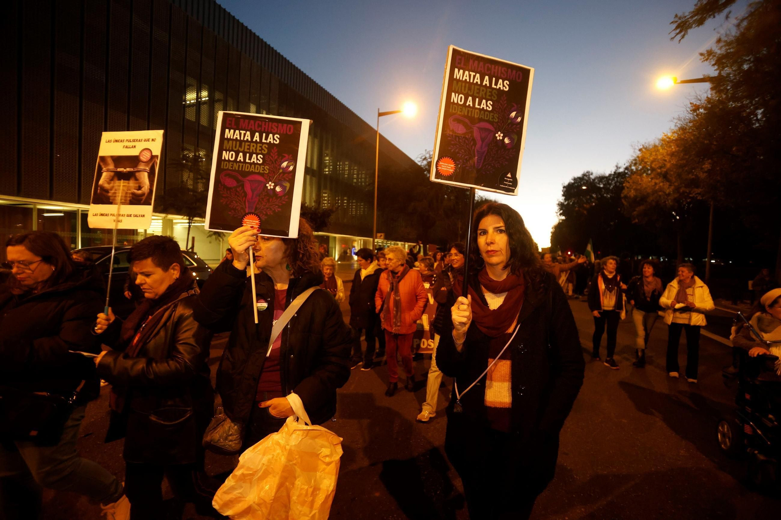 La manifestación del 25N en Córdoba