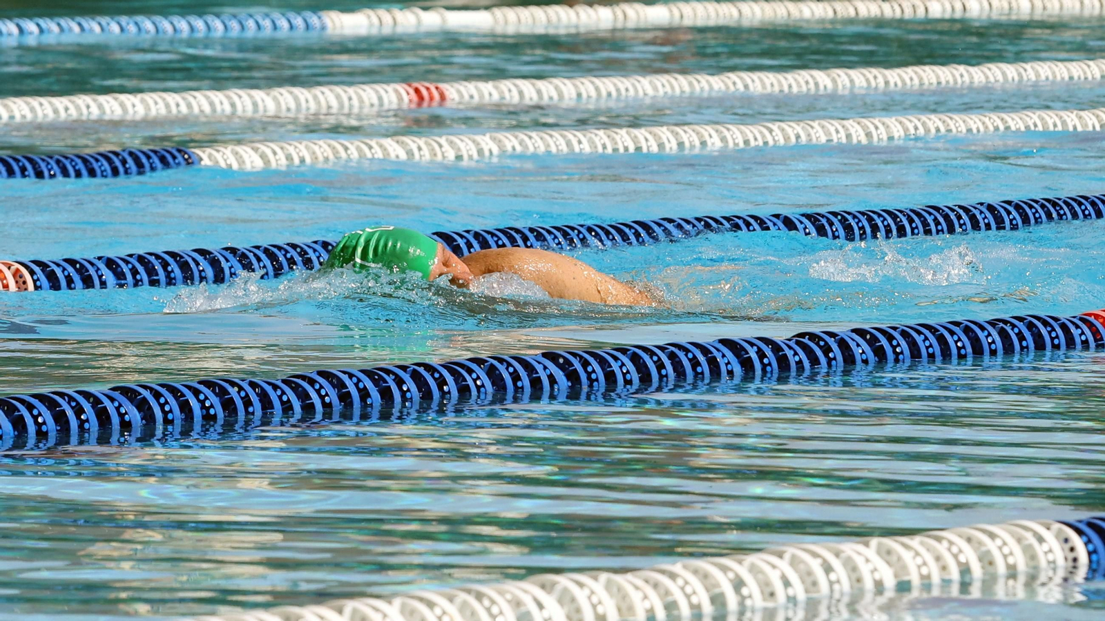 Imágenes del 55 aniversario de la Natación en Jerez