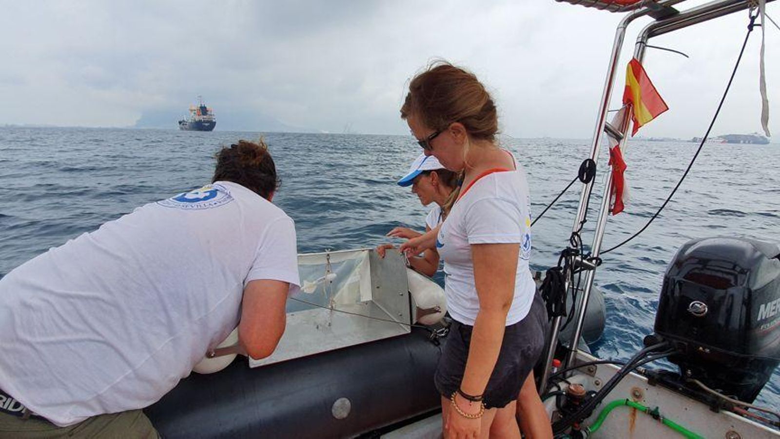 Los participantes en el estudio de la US.