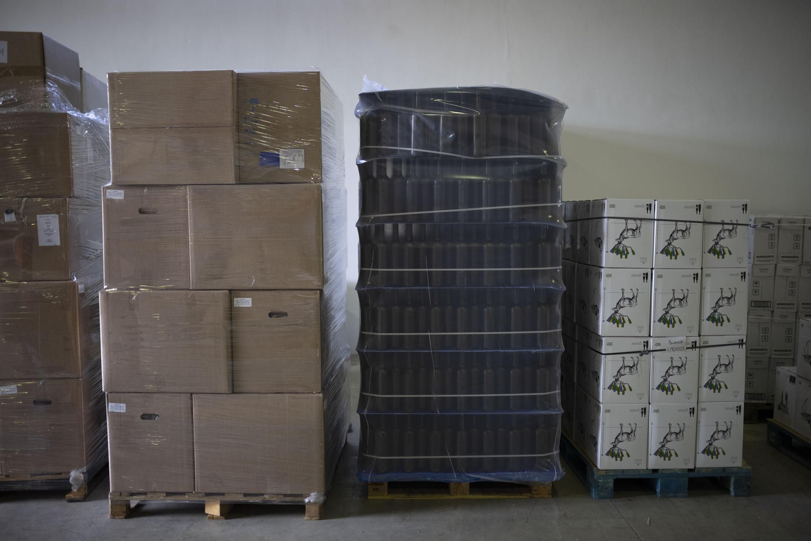 Imágenes de la vendimia en el Condado de Huelva