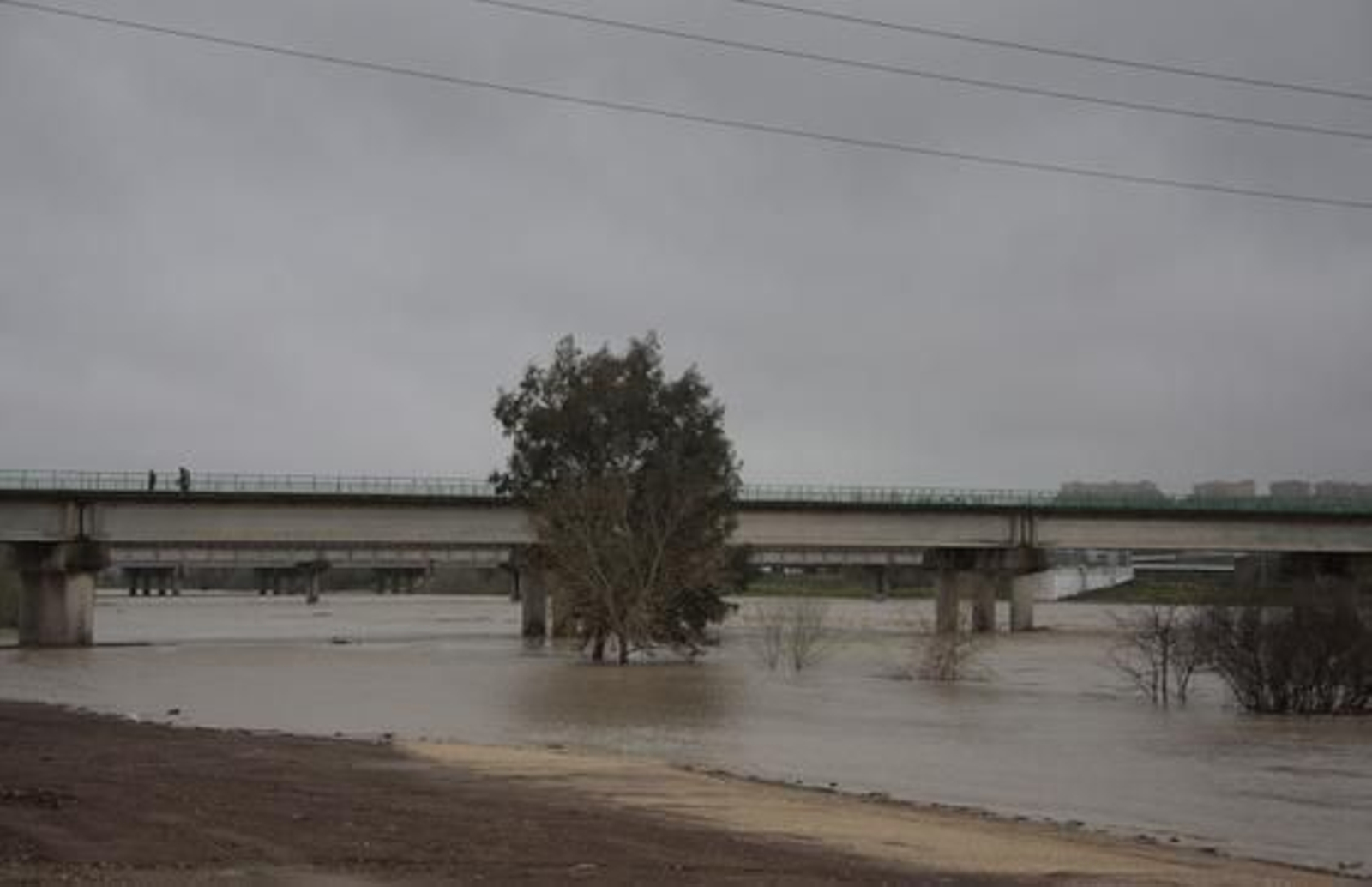 Foto: Victoria Hidalgo/Juan Carlos Muñoz