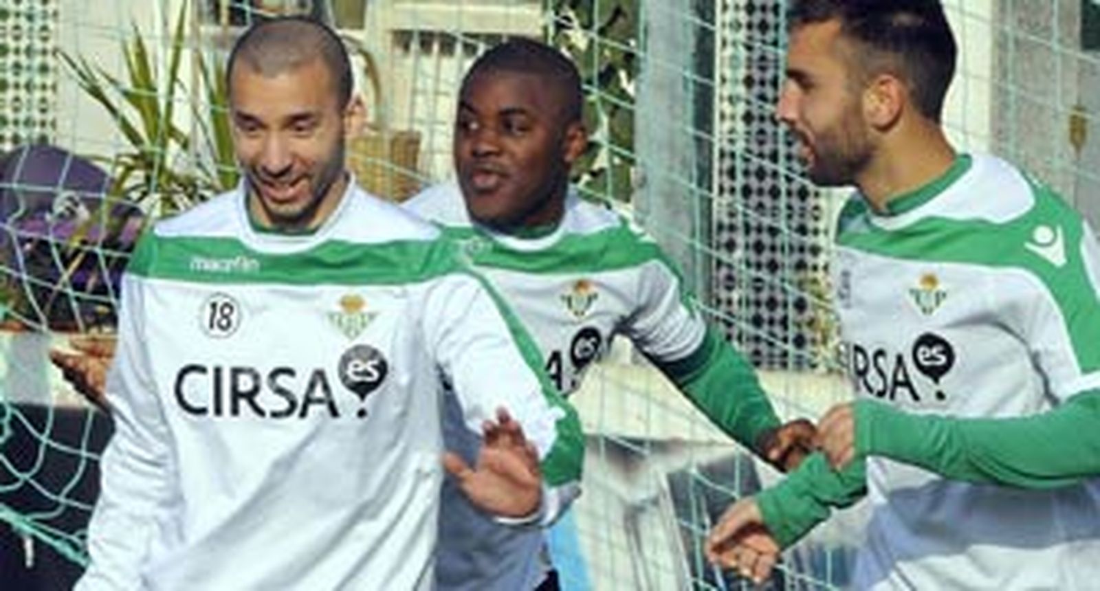 Molins, novedad para Mallorca