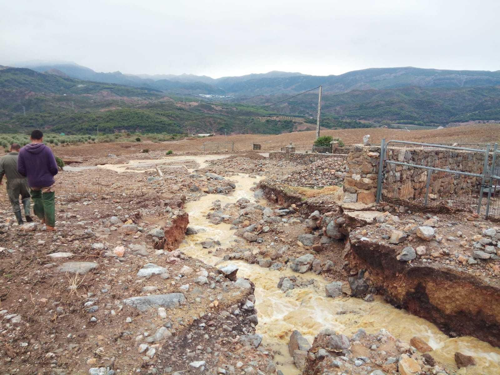 Daños en una finca situada entre los municipios de Casarabonela y Ardales.