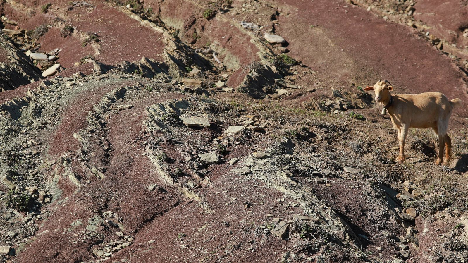 Las mejores fotos del sendero de la Colada de la Costa en Algeciras