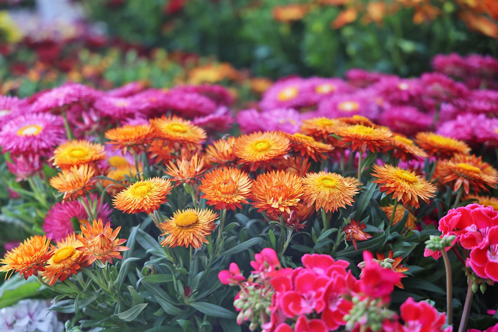 Las imágenes más destacadas del viernes 25 de abril en Huelva