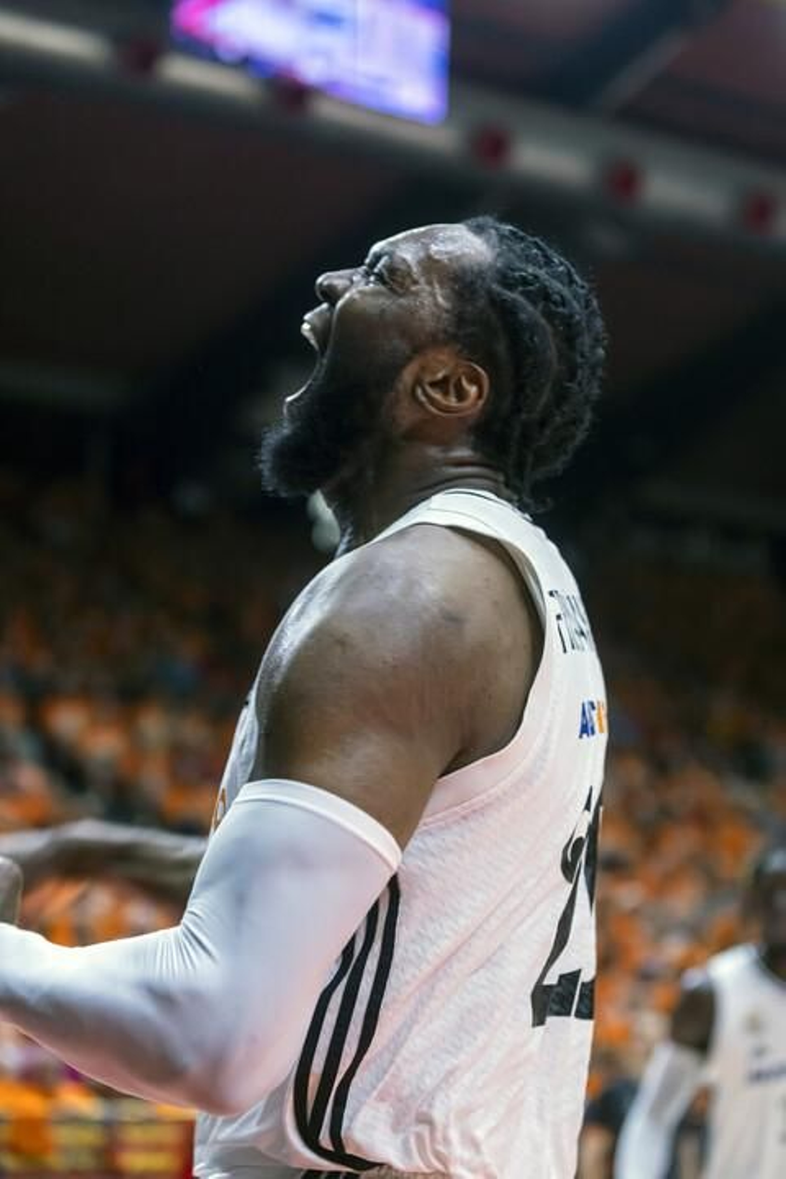 Las fotos del título del Real Madrid en baloncesto