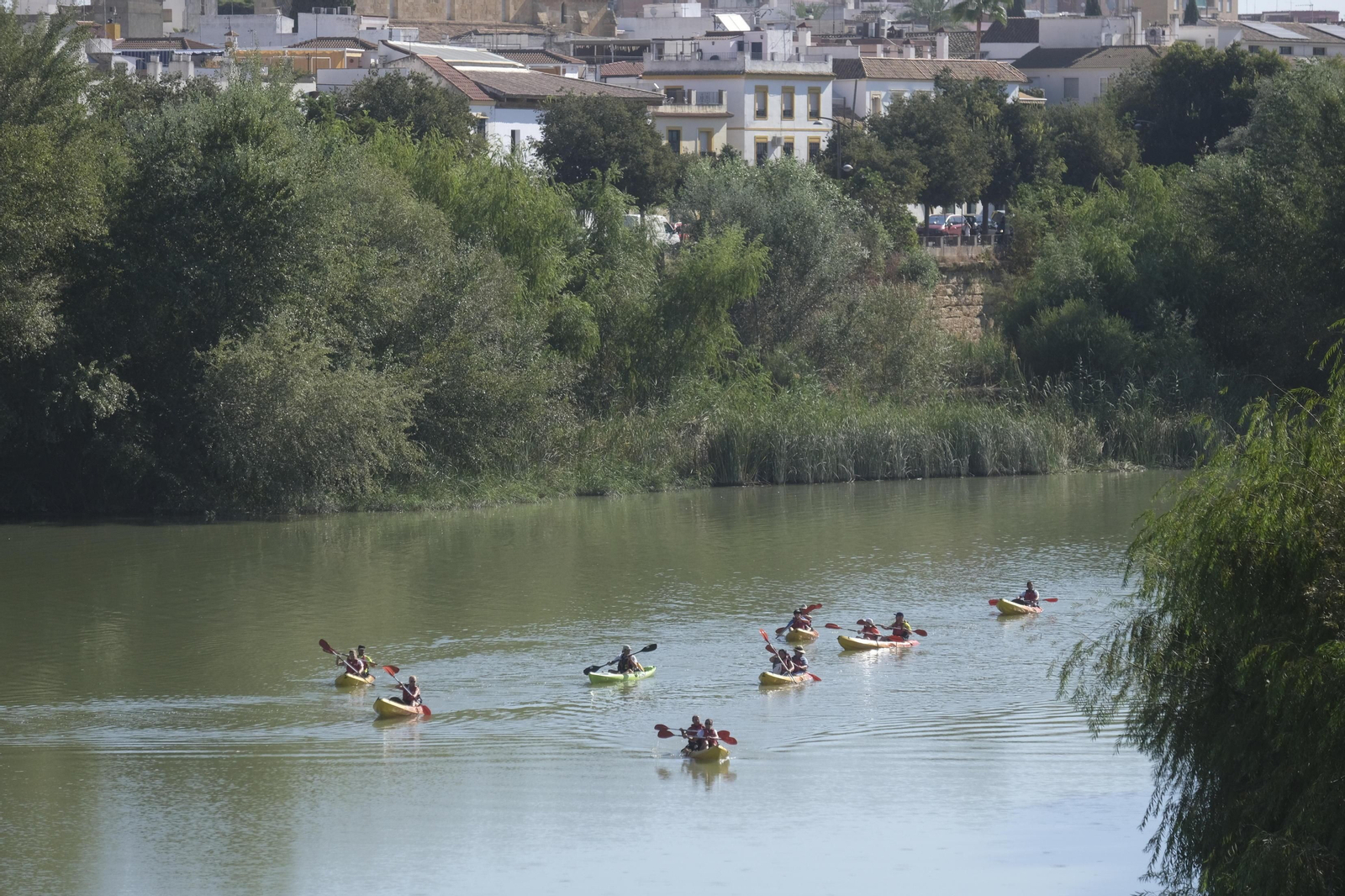 La ruta en kayak por el Guadalquivir de Córdoba se echa al agua, en imágenes