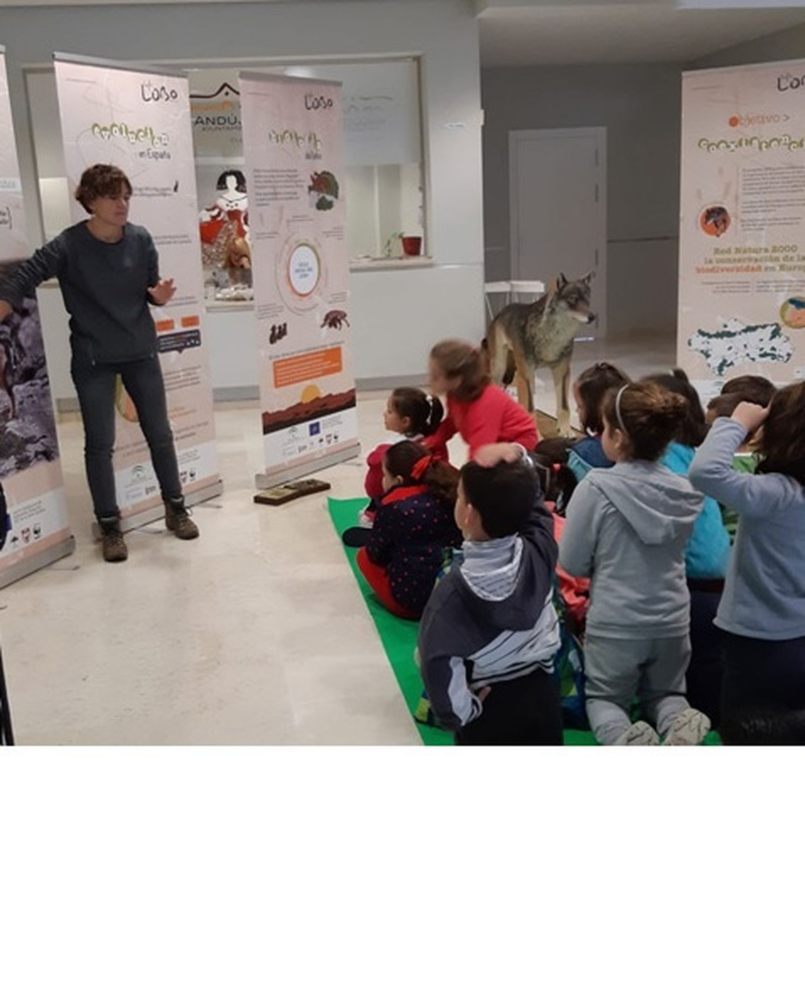 Unos escolares visitan 'Otila' en la provincia de Jaén.