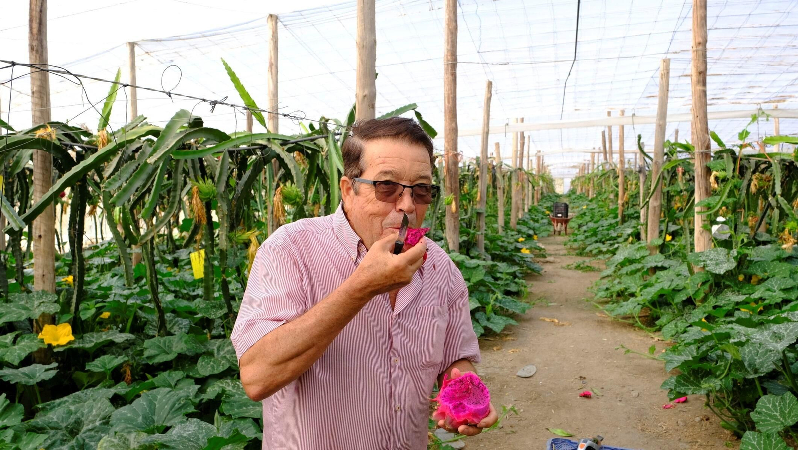 Paco Hurtado en una anterior visita a su cultivo.