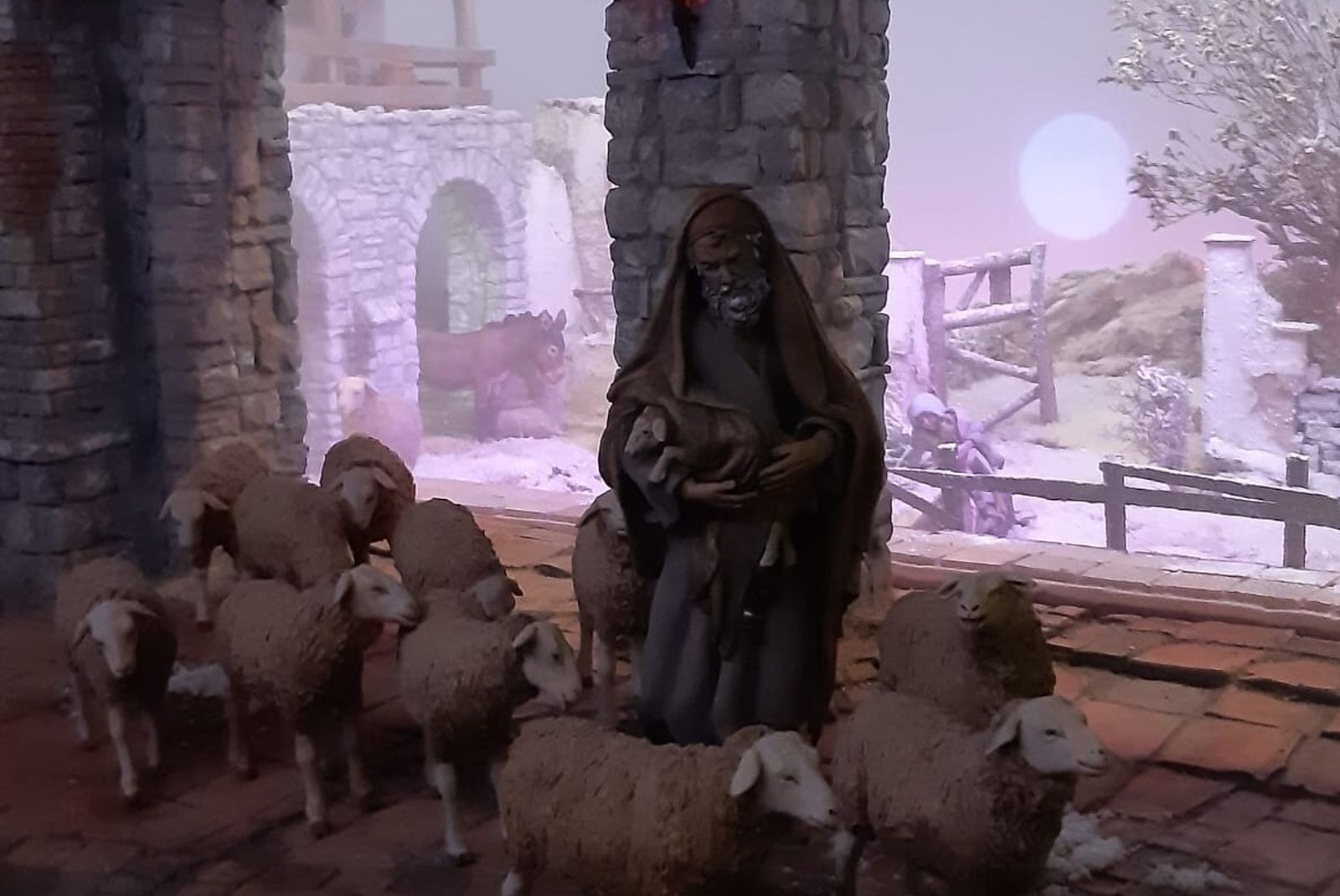 Premio especial al mejor efecto luminoso: Natalio Rodríguez Rodríguez.