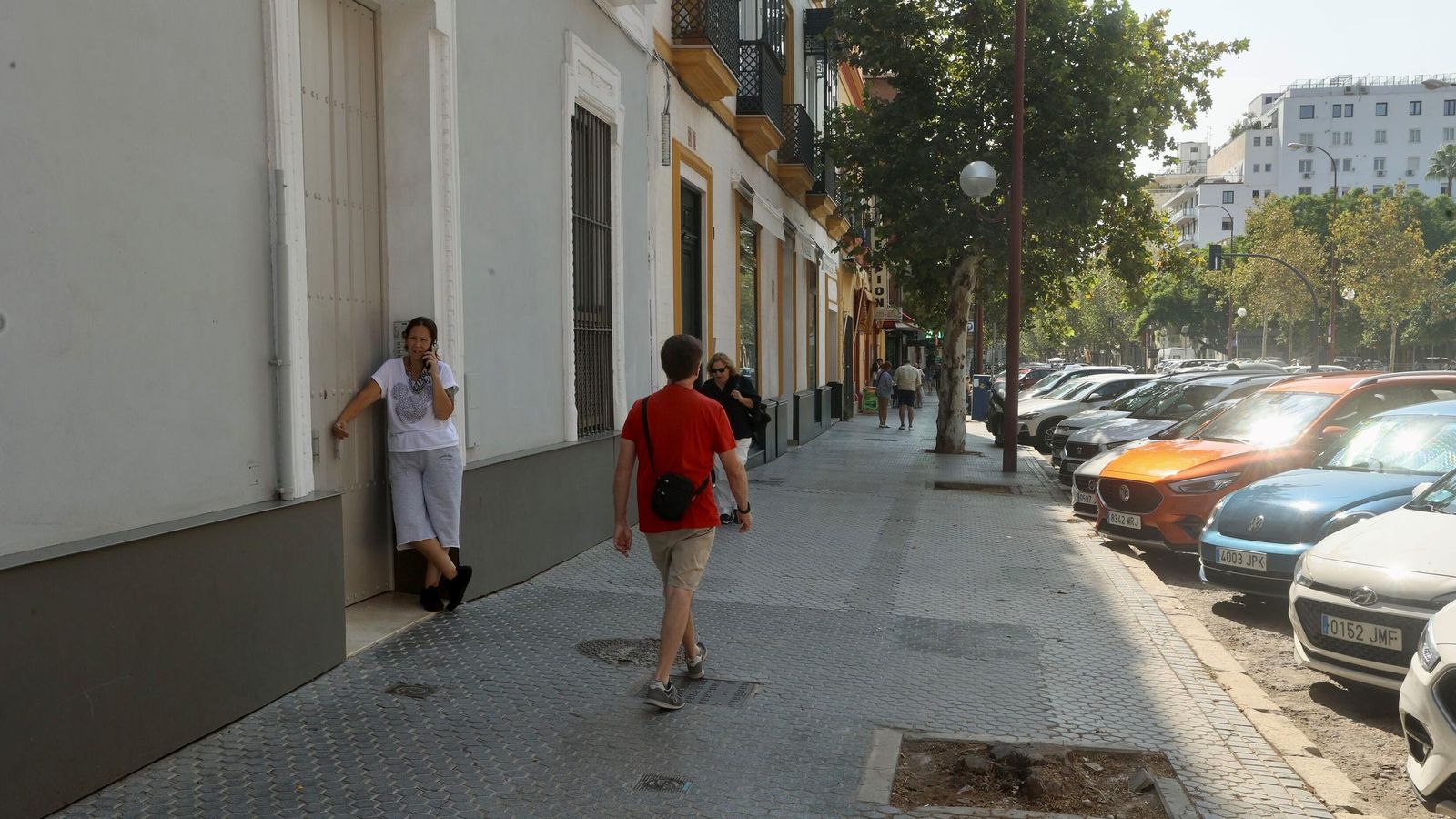 Varios alcorques vacíos.