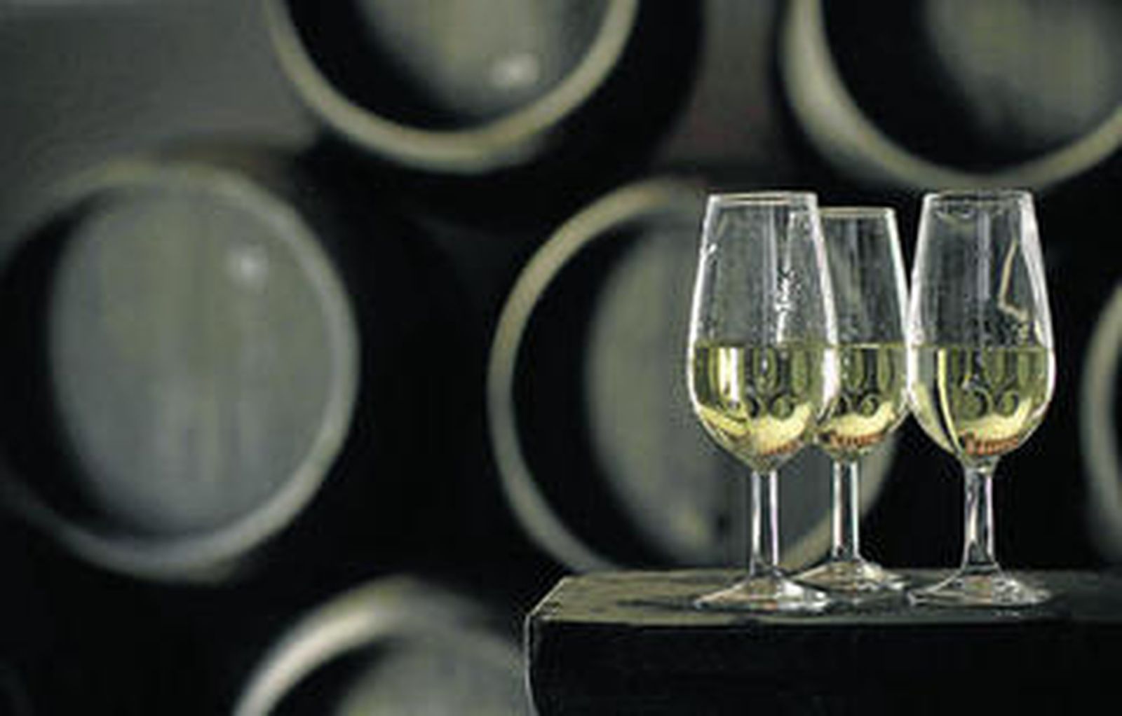 Primer plano de catavinos con botas de vino al fondo en una bodega jerezana.